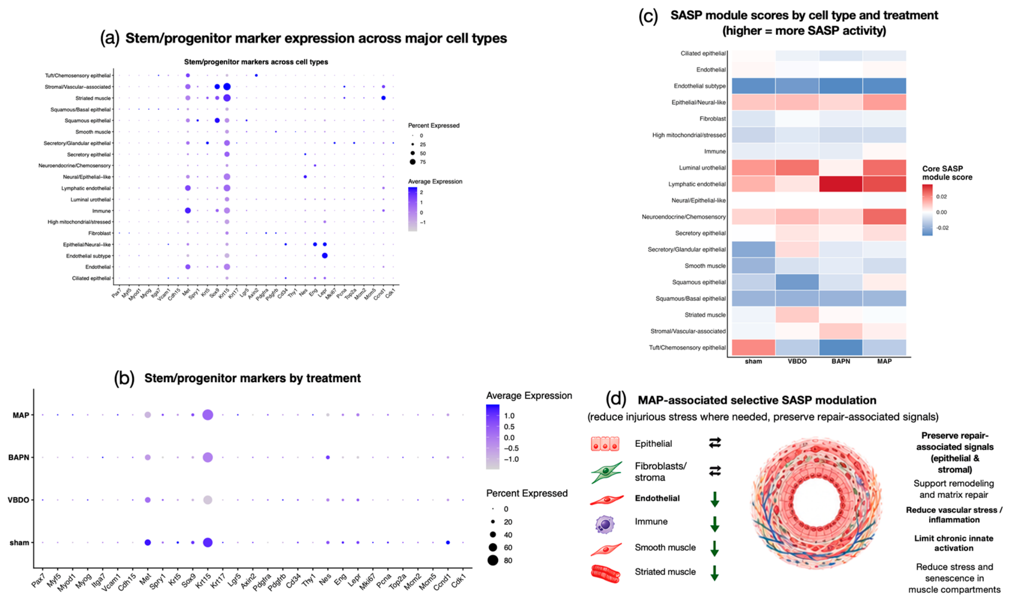 Preprints 236805 g005 Preprints 236805 g005