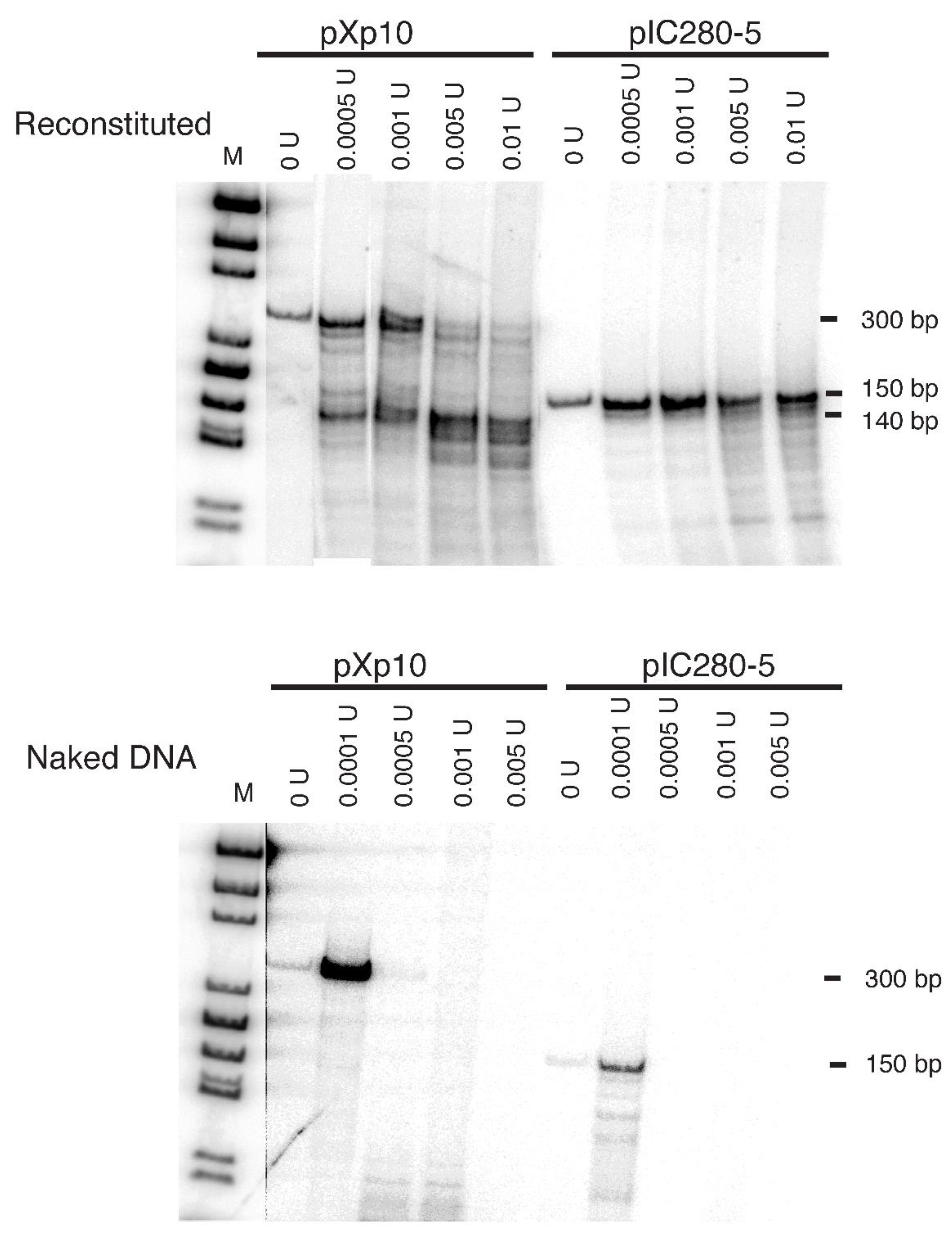 Preprints 185737 g001