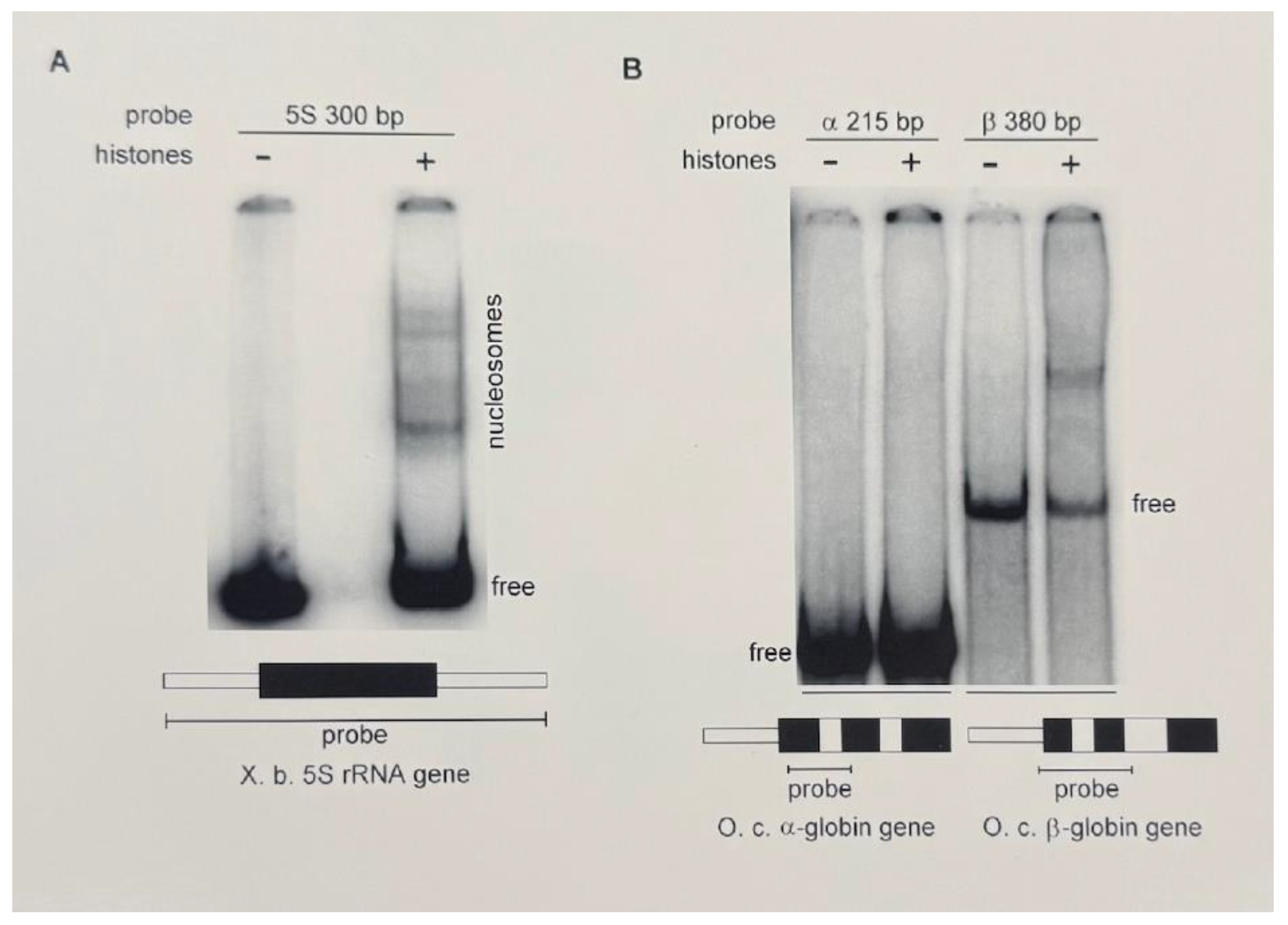 Preprints 185737 g002