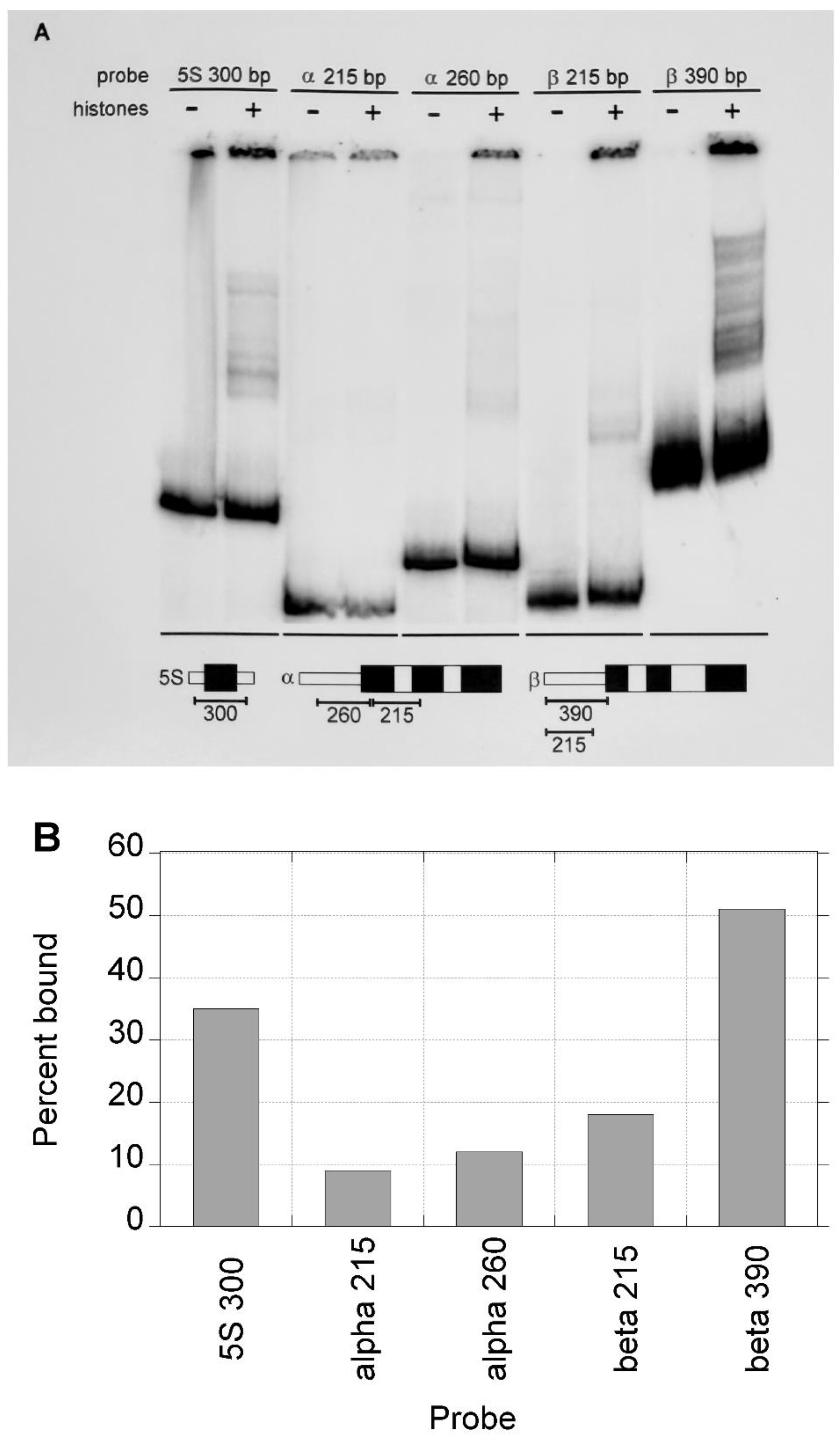 Preprints 185737 g004