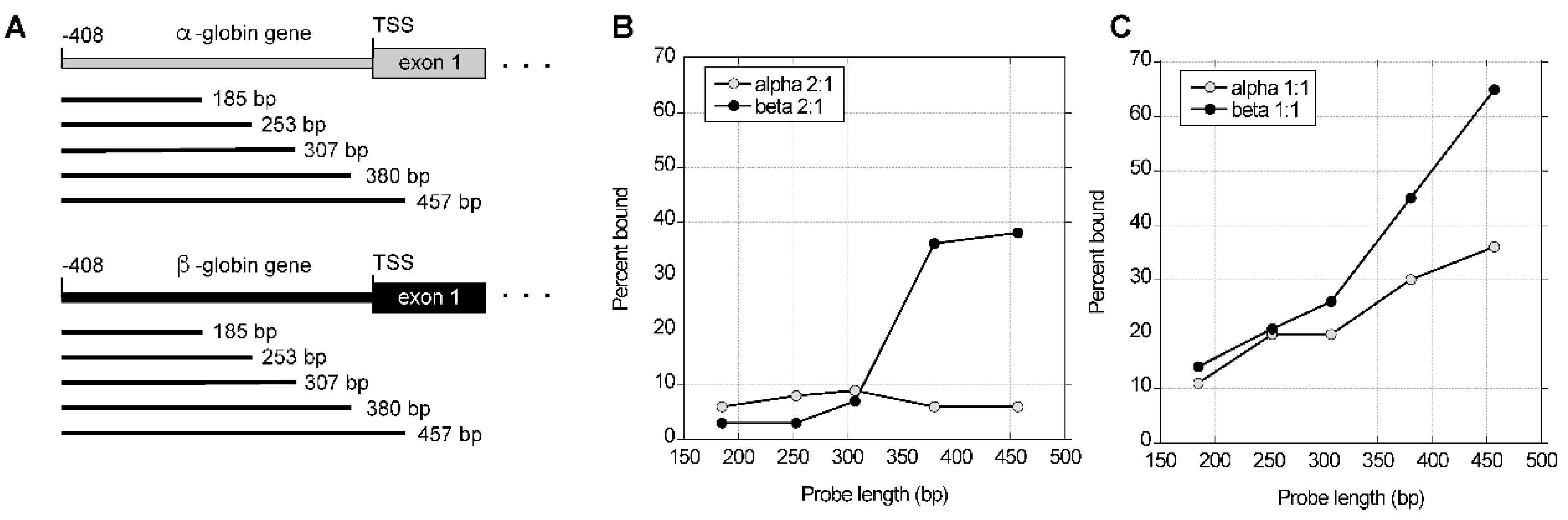 Preprints 185737 g006