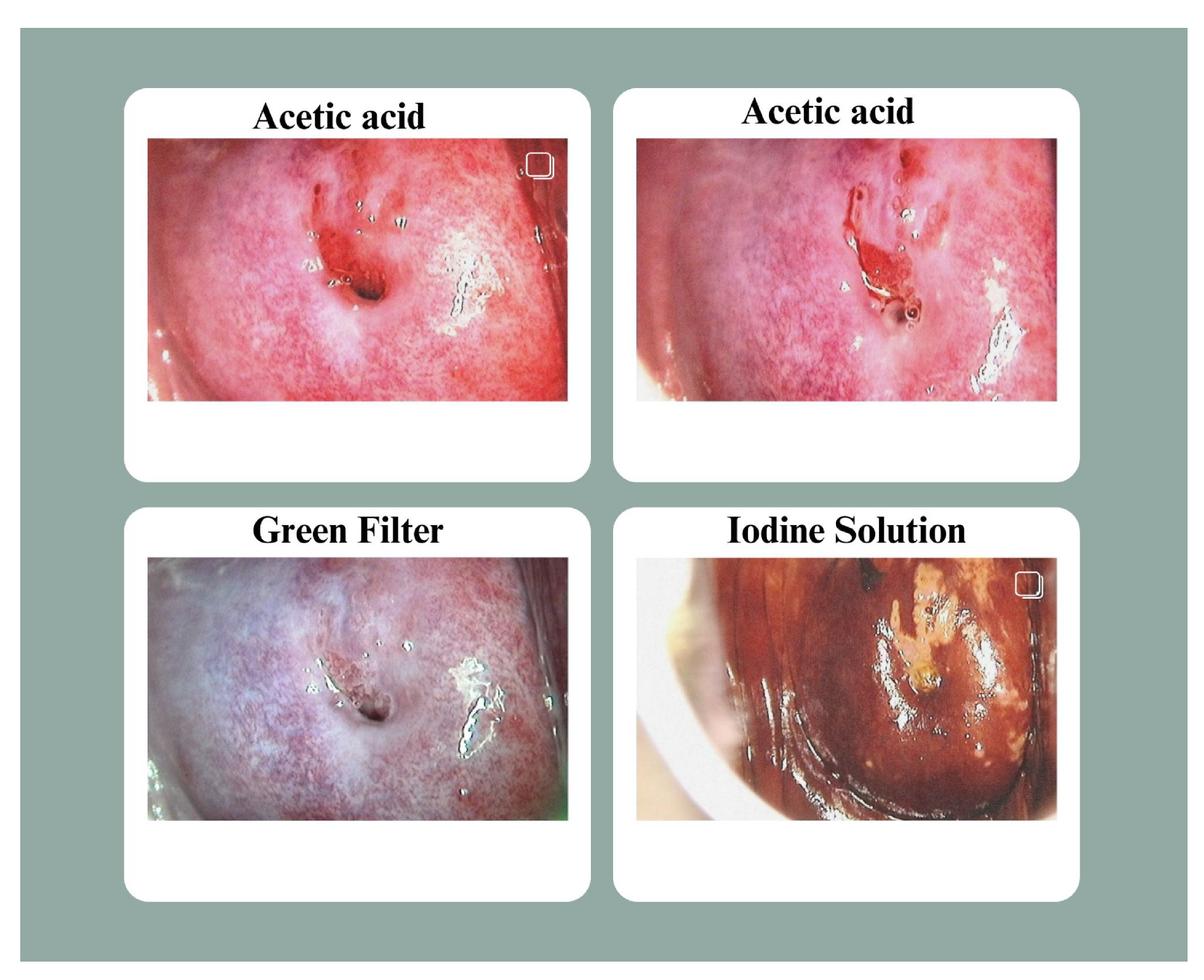 Preprints 141434 g001