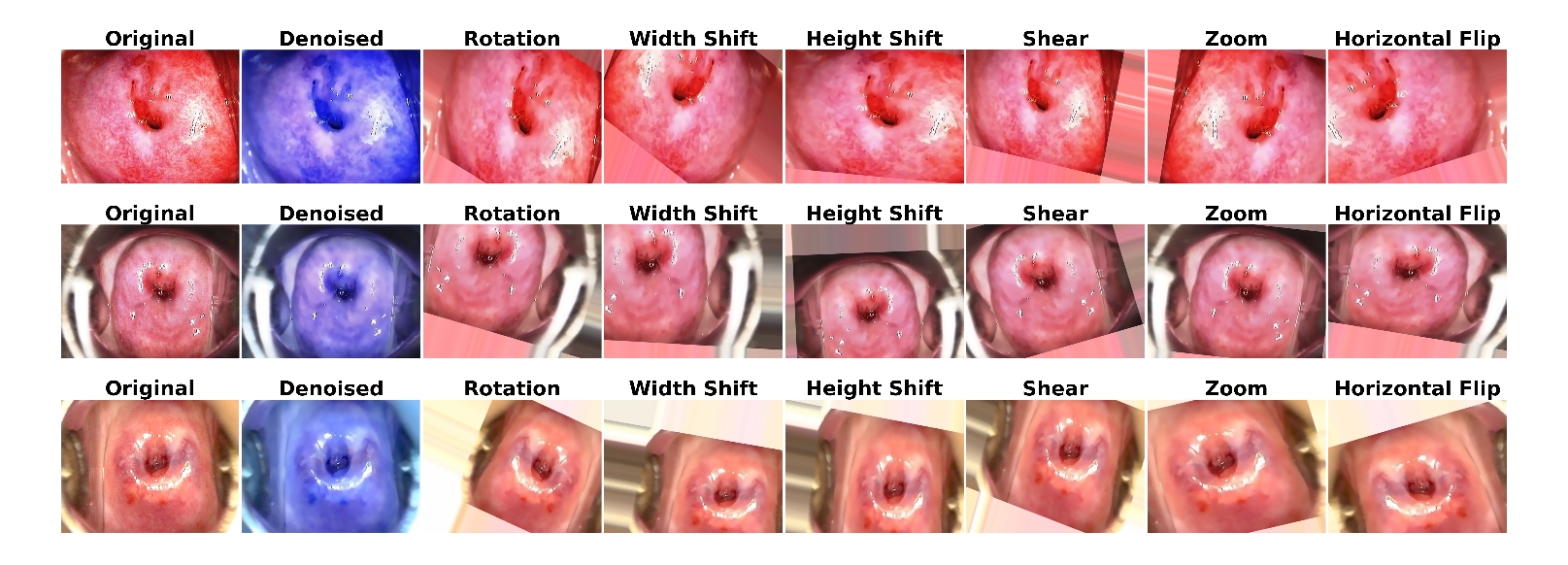Preprints 141434 g005