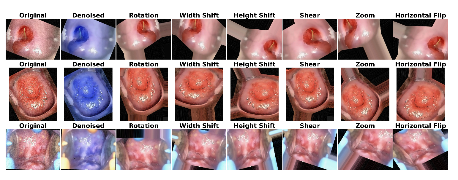 Preprints 141434 g006