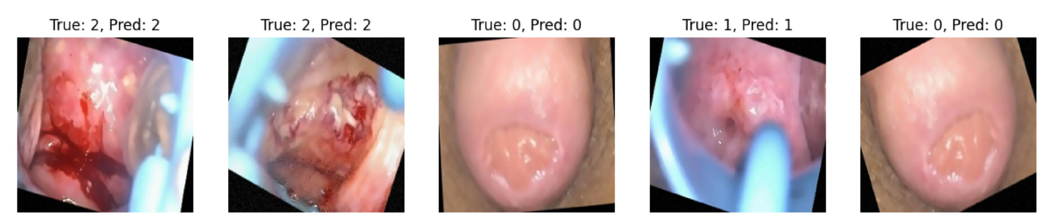 Preprints 141434 g013