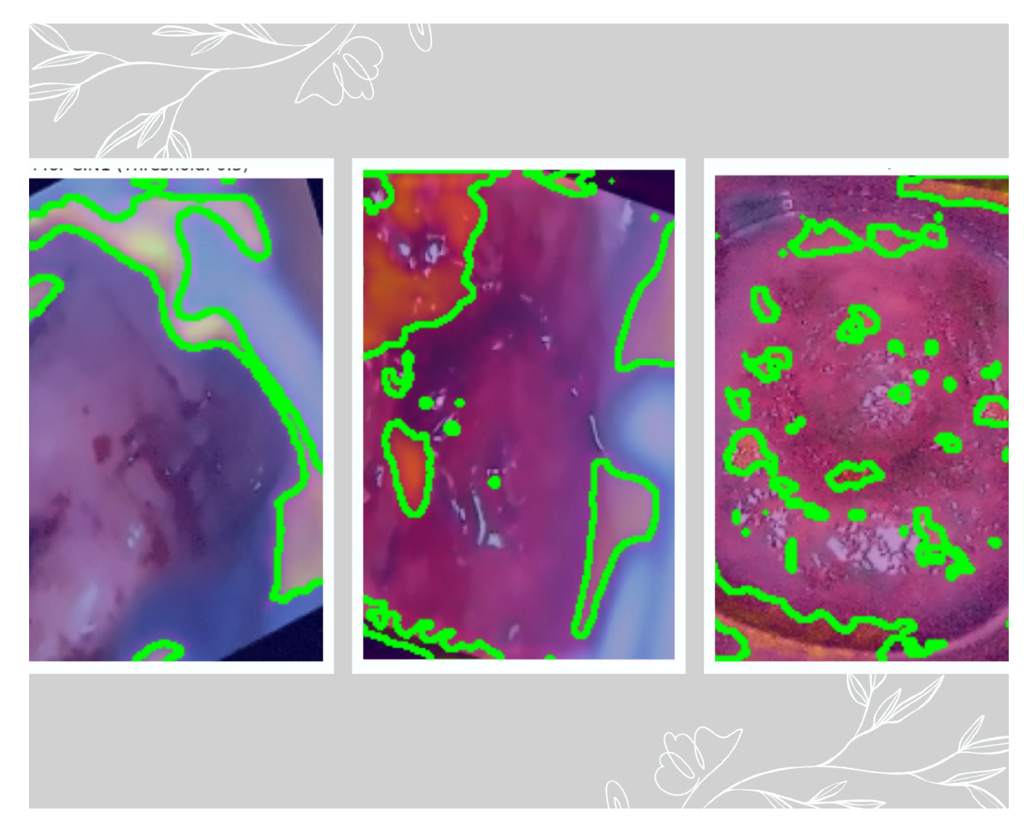 Preprints 141434 g019