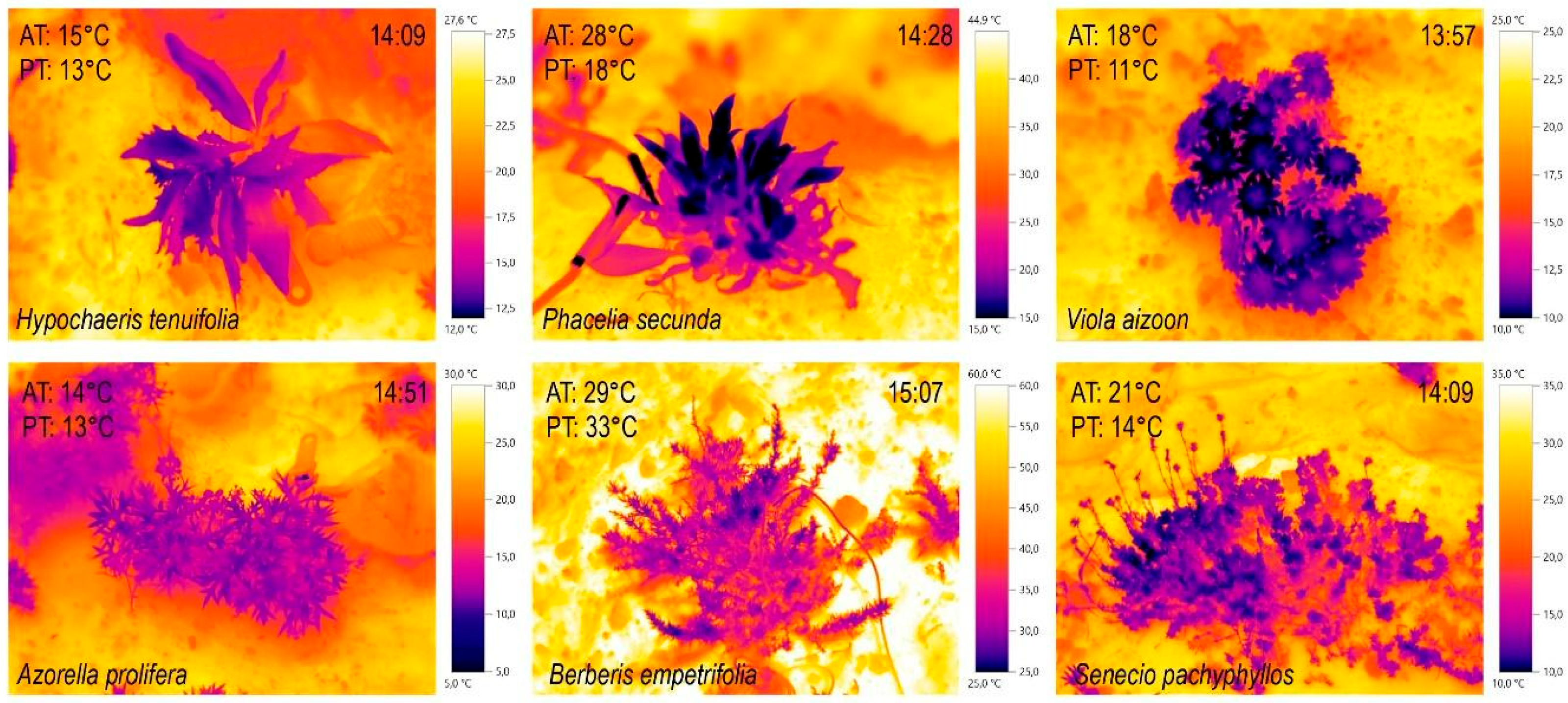 Preprints 163528 g002