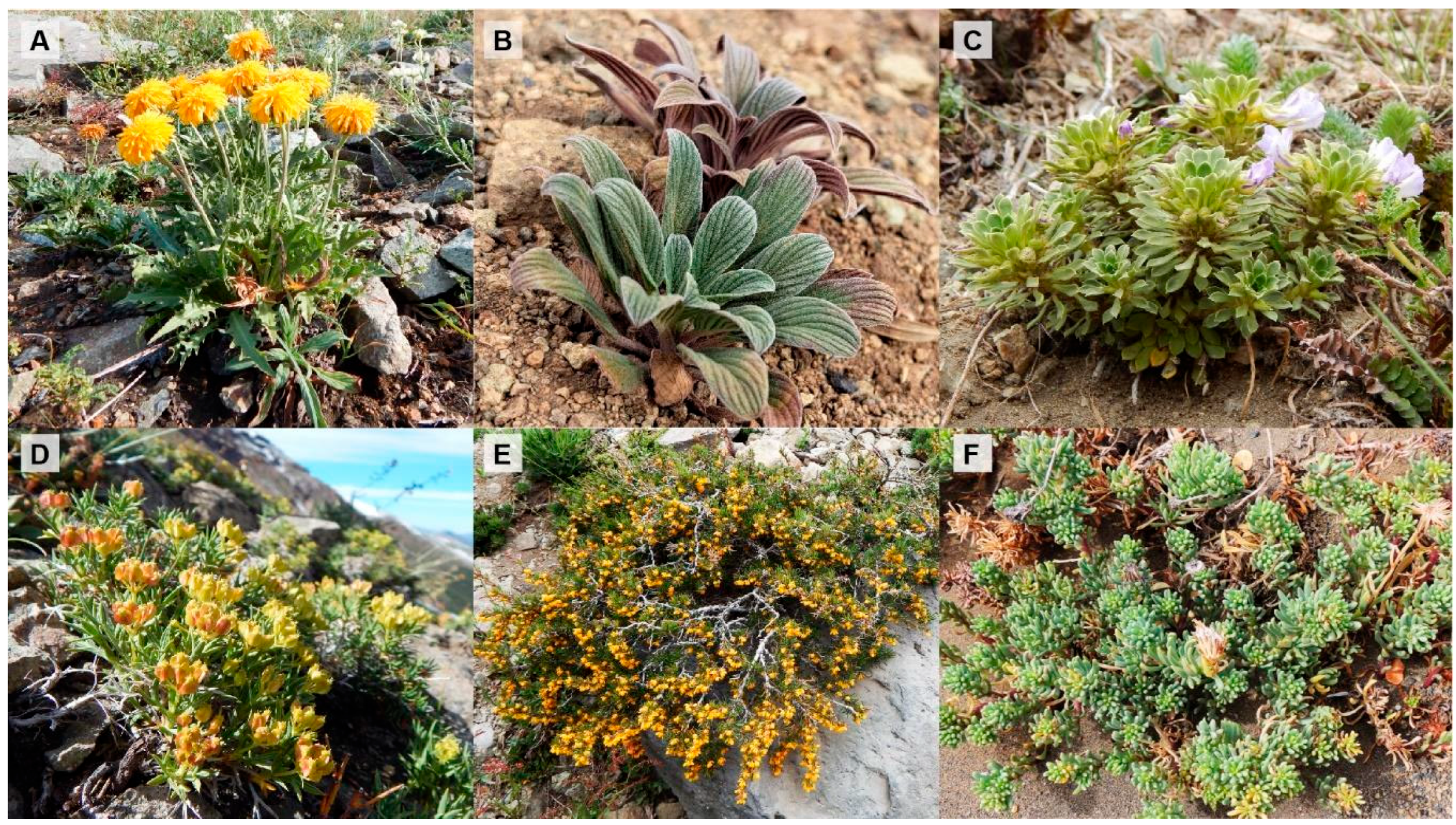 Preprints 163528 g006