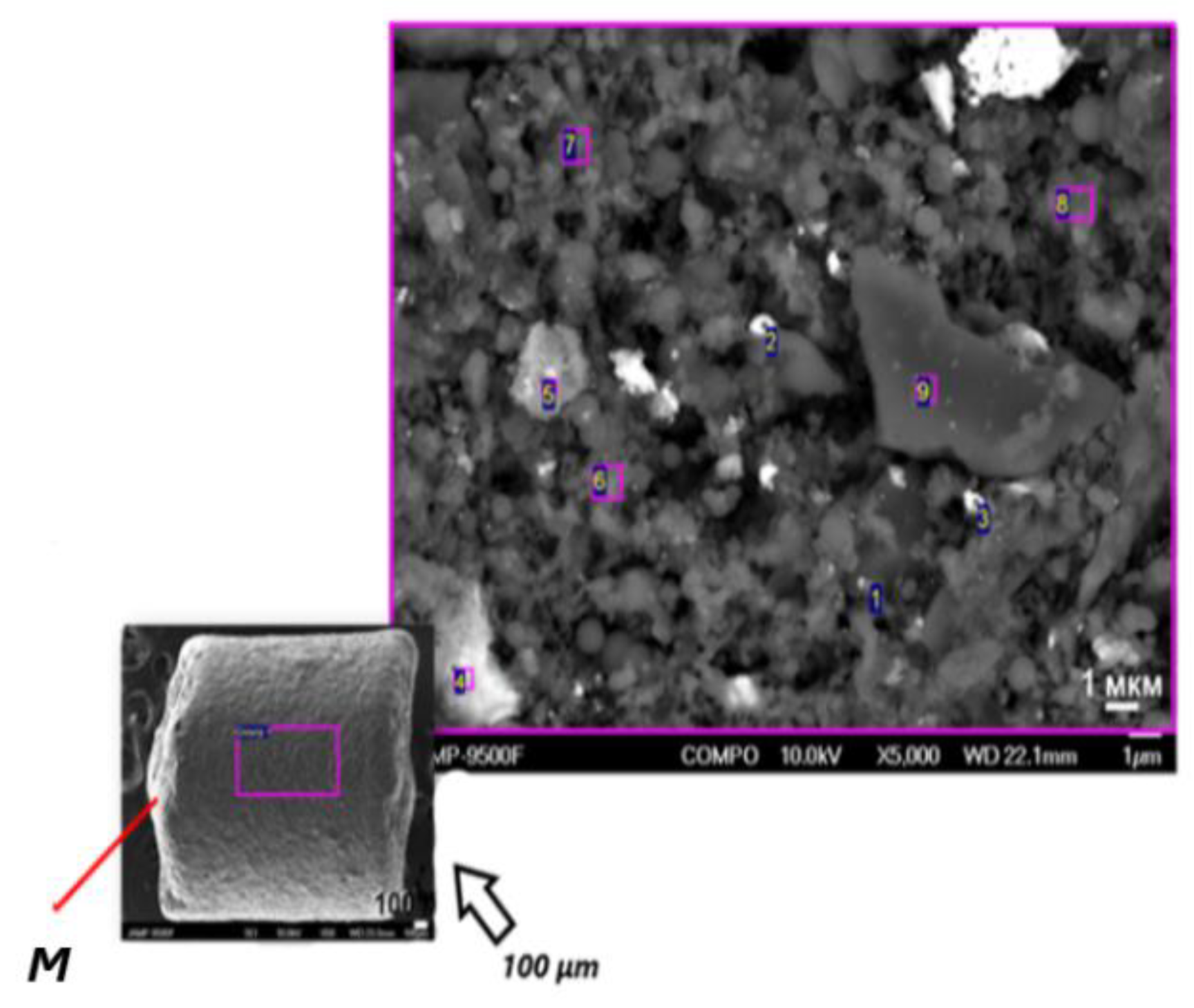 Preprints 152070 g006