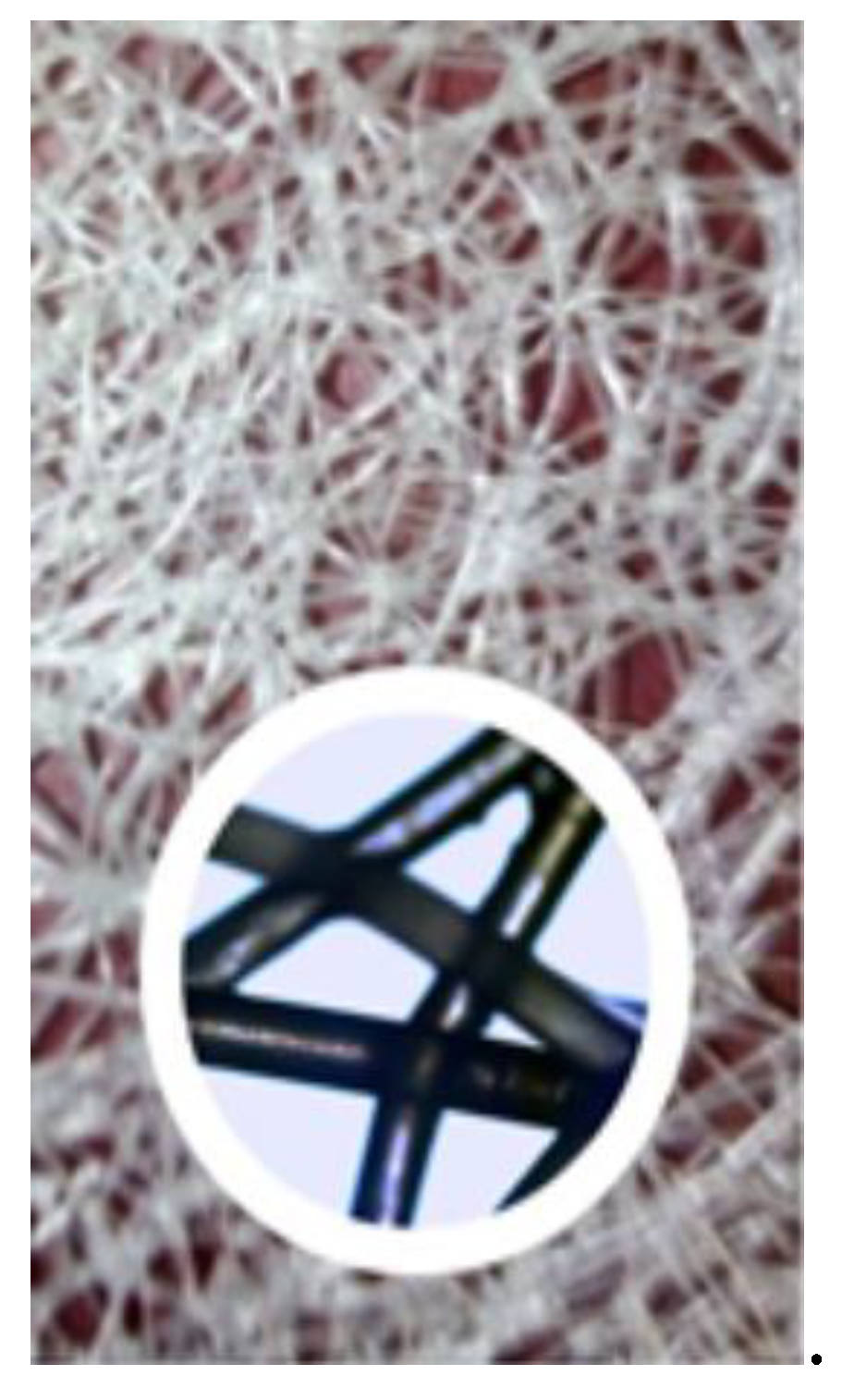 Preprints 152070 g007