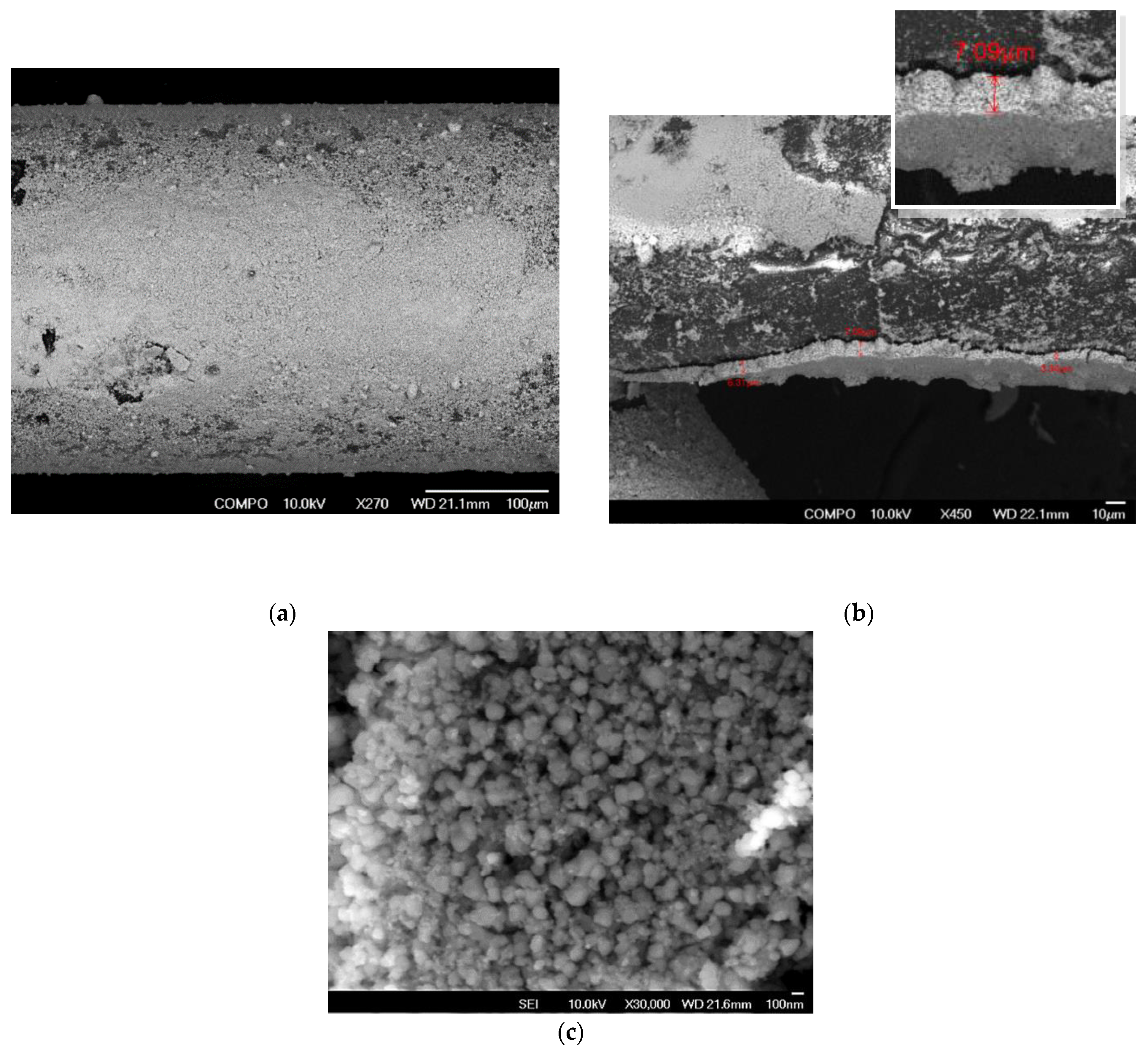 Preprints 152070 g008
