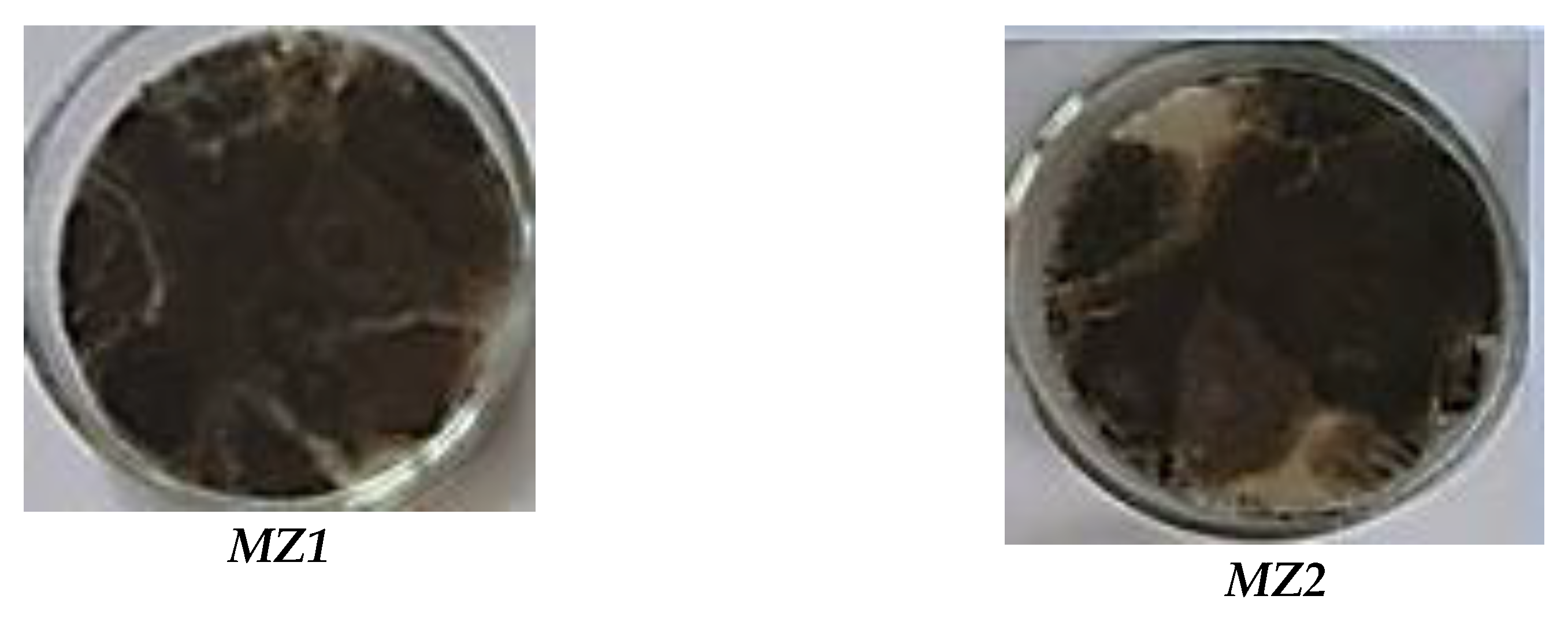 Preprints 152070 g010a