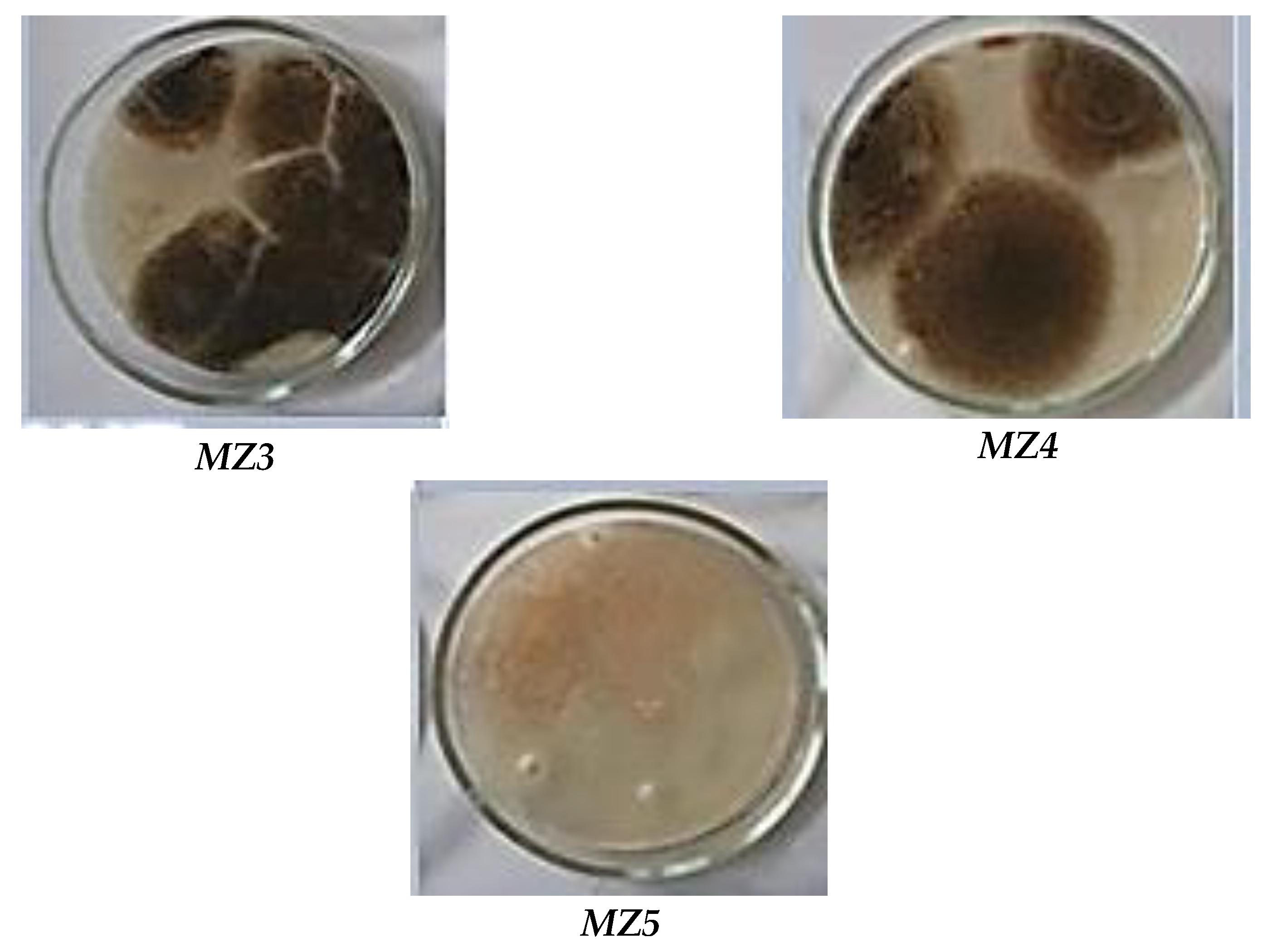 Preprints 152070 g010b