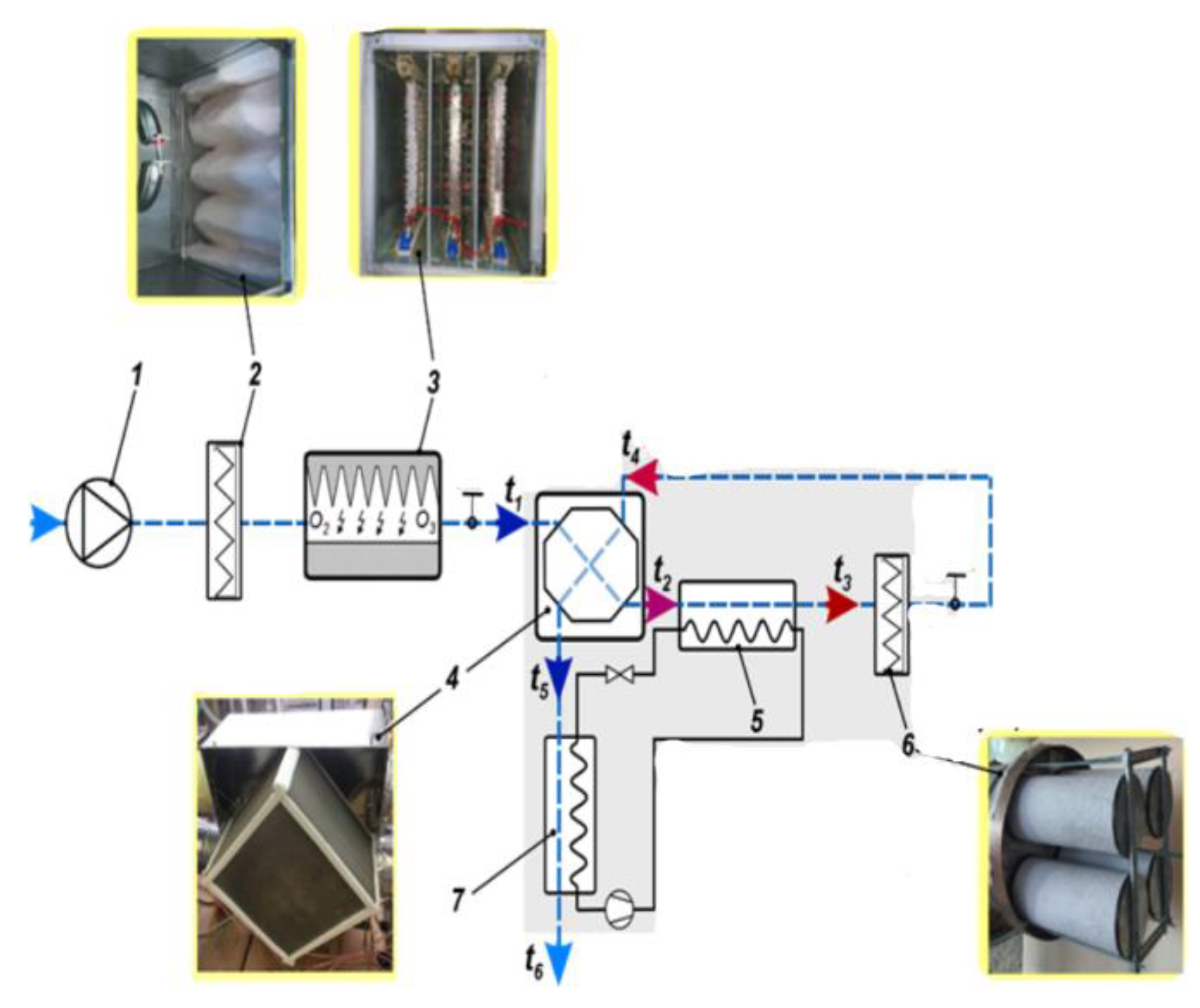 Preprints 152070 g011
