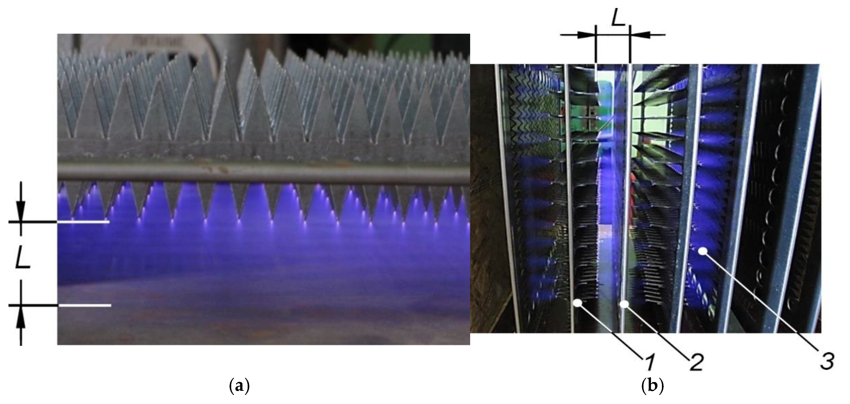 Preprints 152070 g013