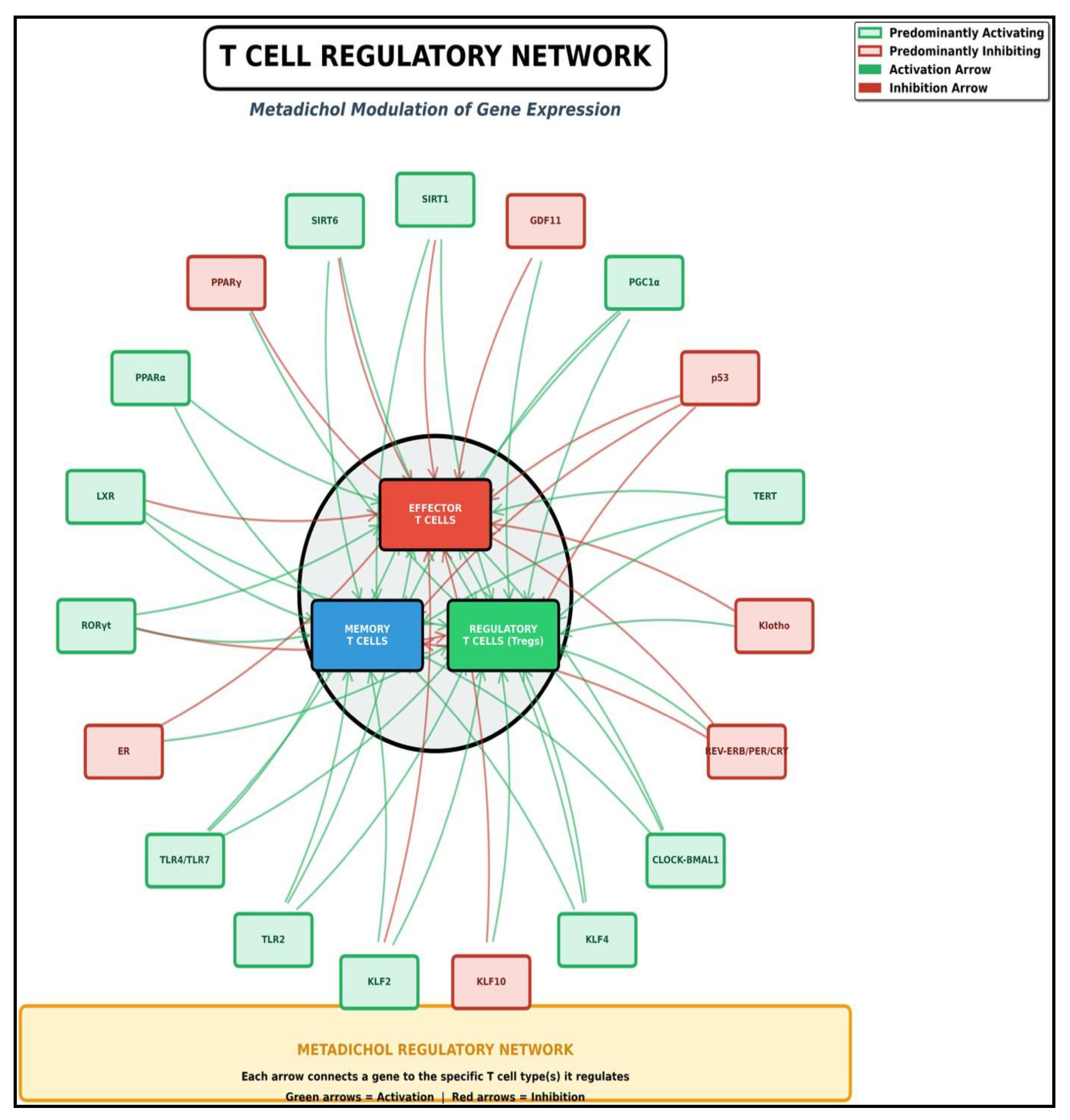 Preprints 184391 g010