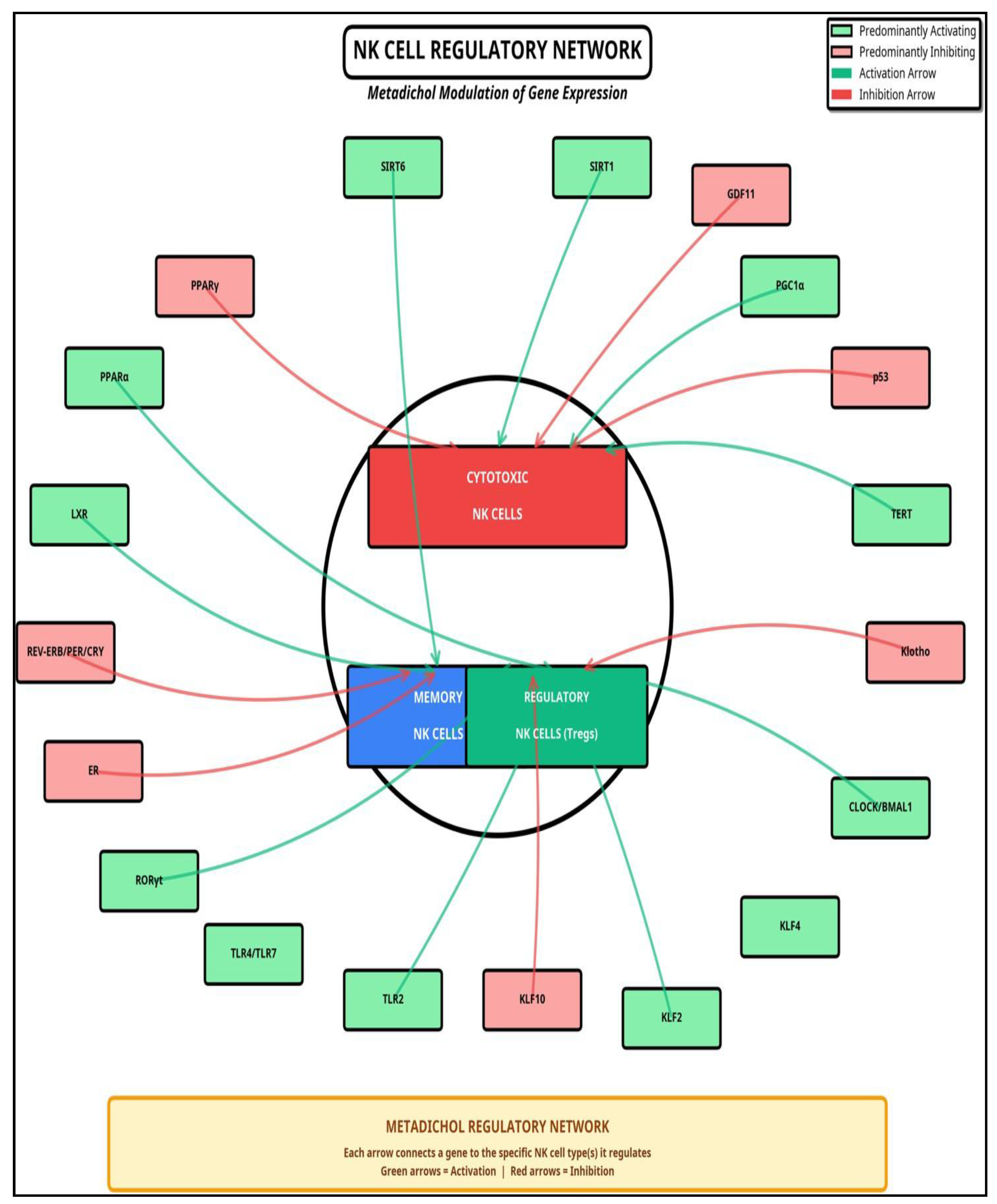 Preprints 184391 g012