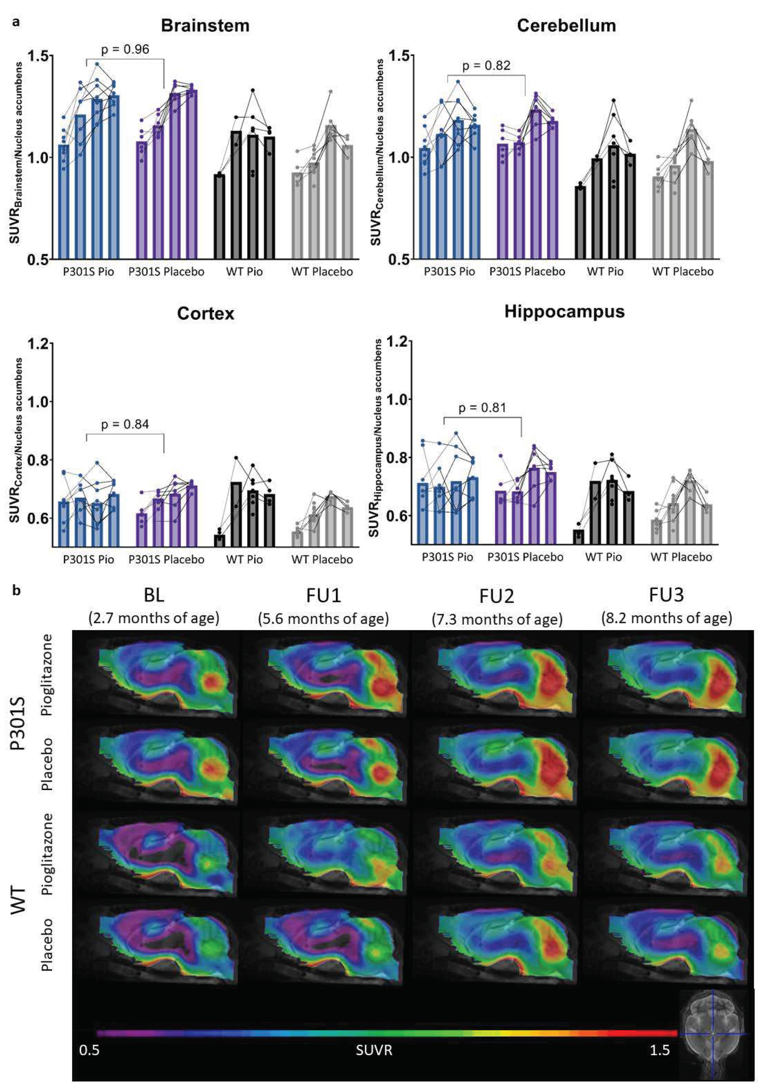 Preprints 72136 g001