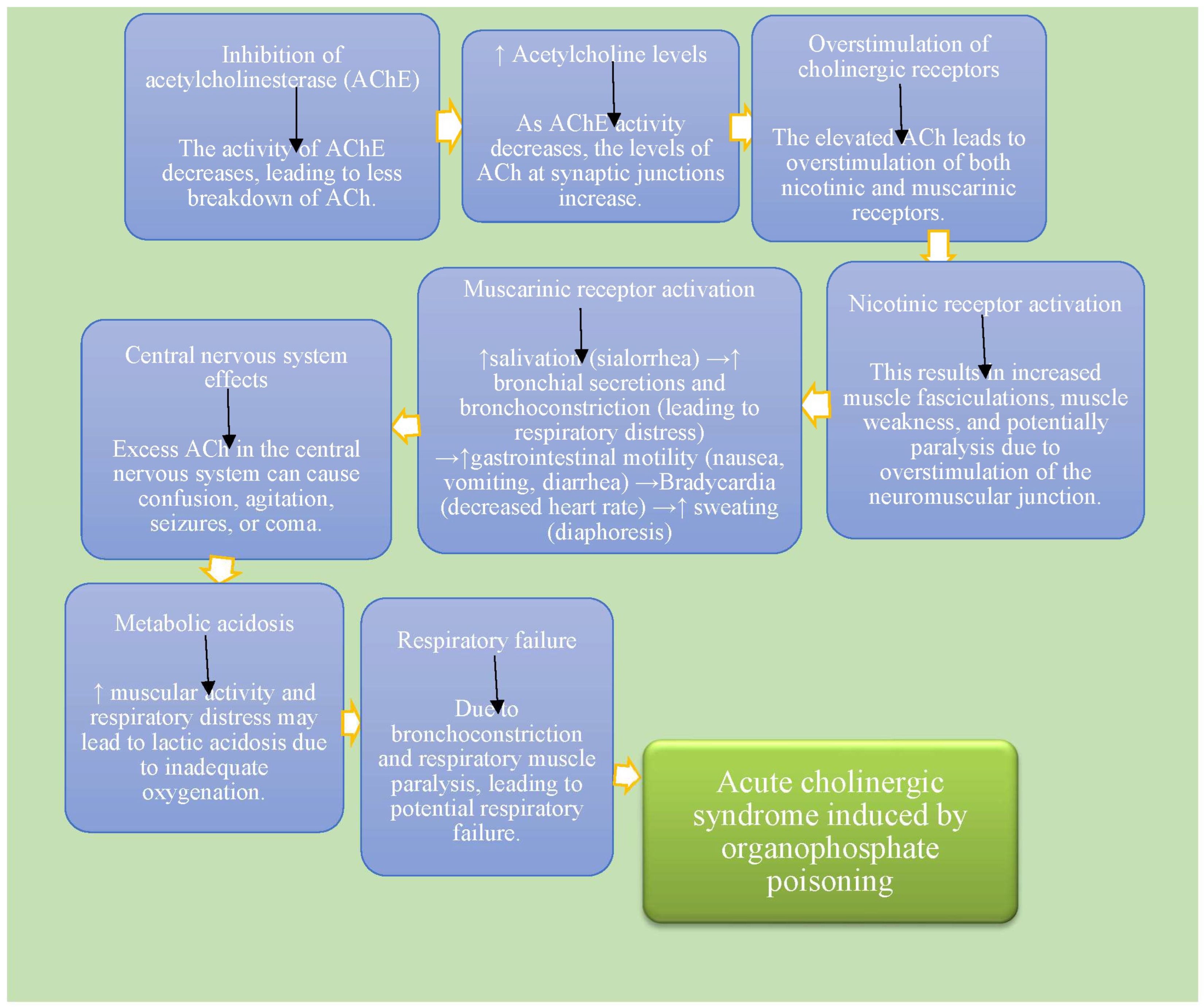 Preprints 153995 g001