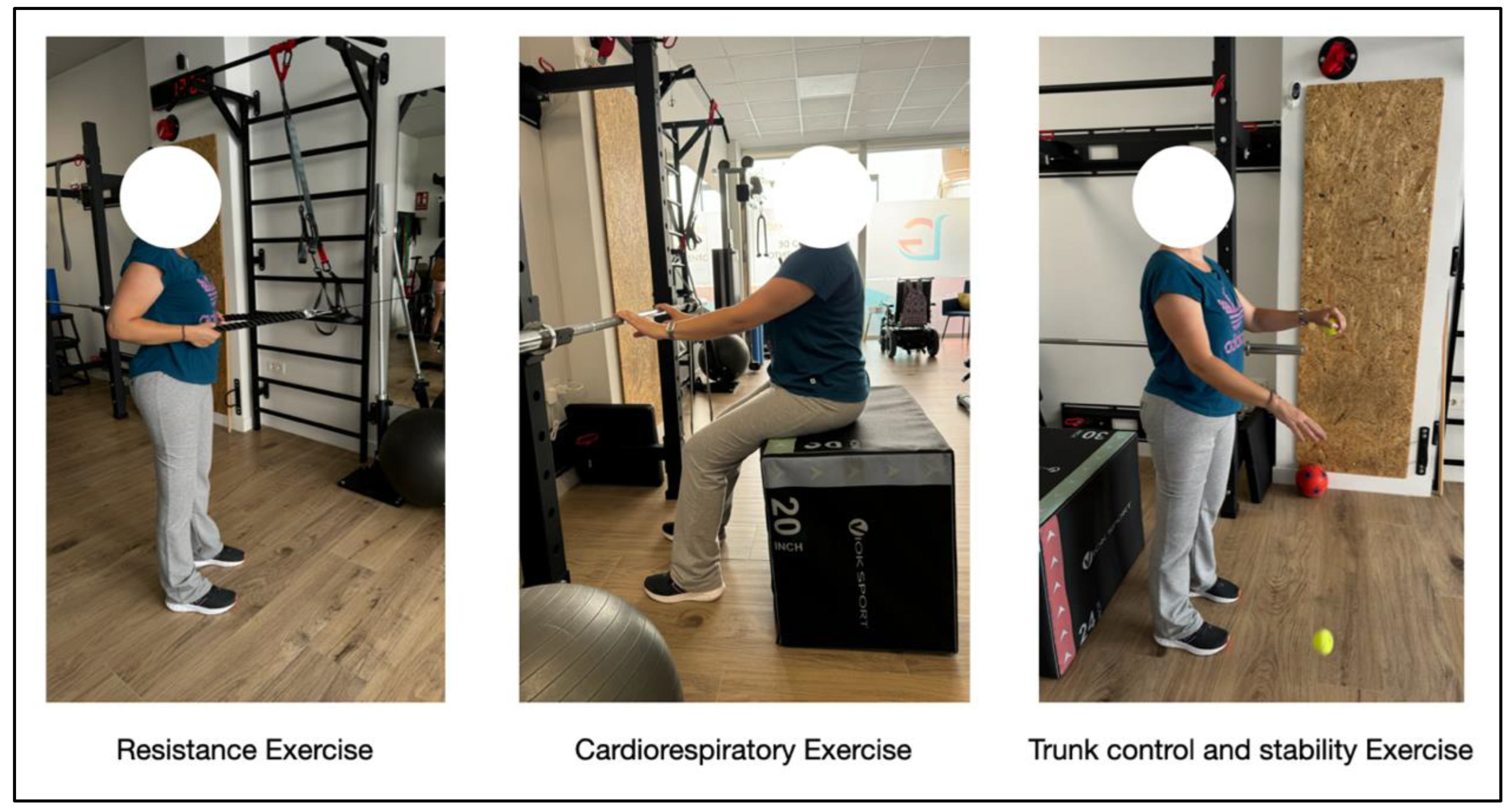 Preprints 146465 g001