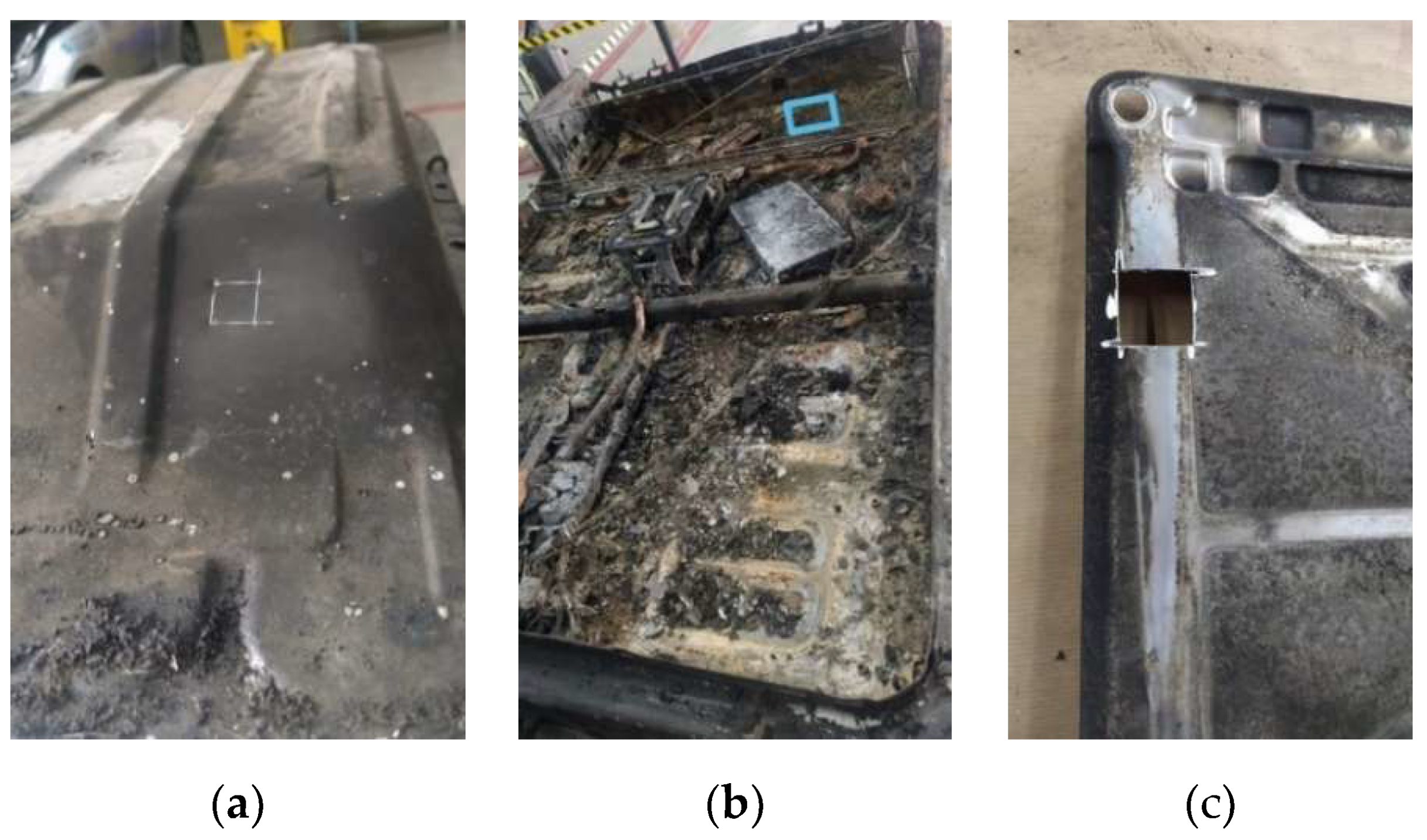 Preprints 78789 g010