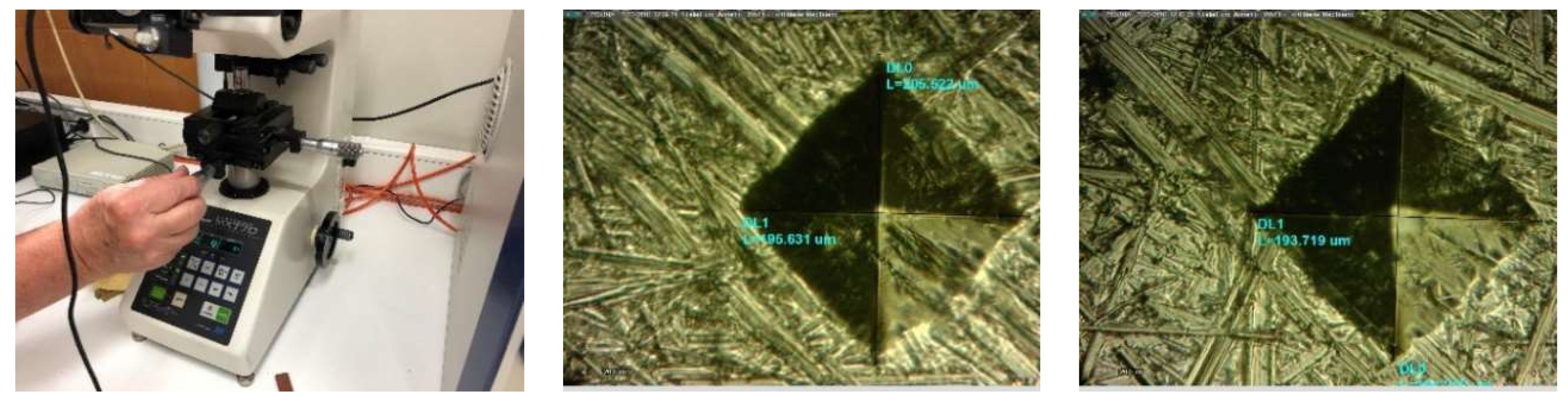 Preprints 78789 g011