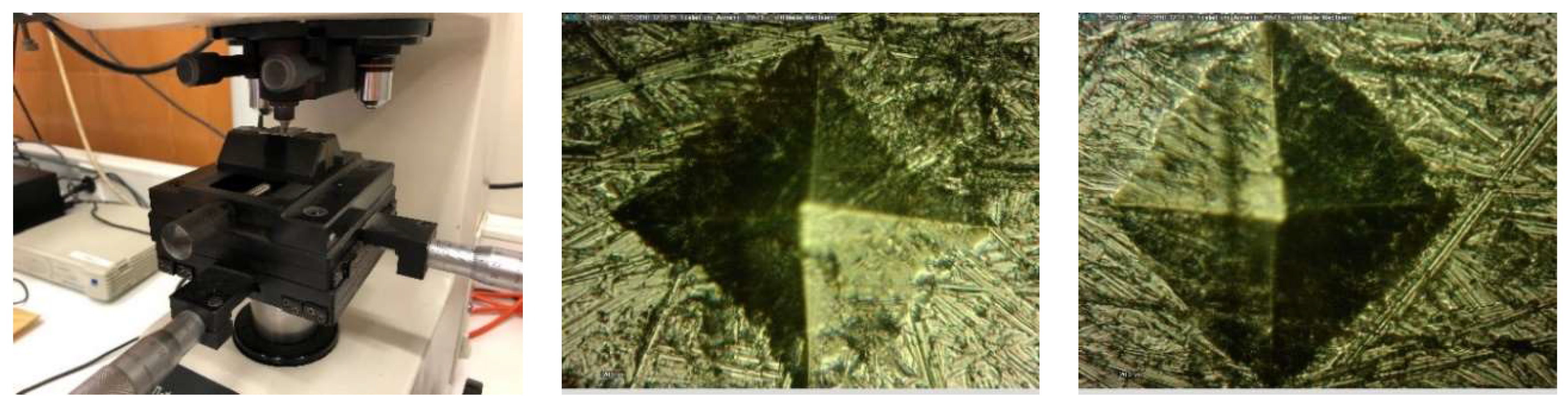 Preprints 78789 g012