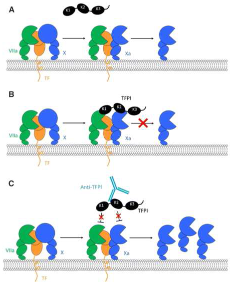 Preprints 149259 g001