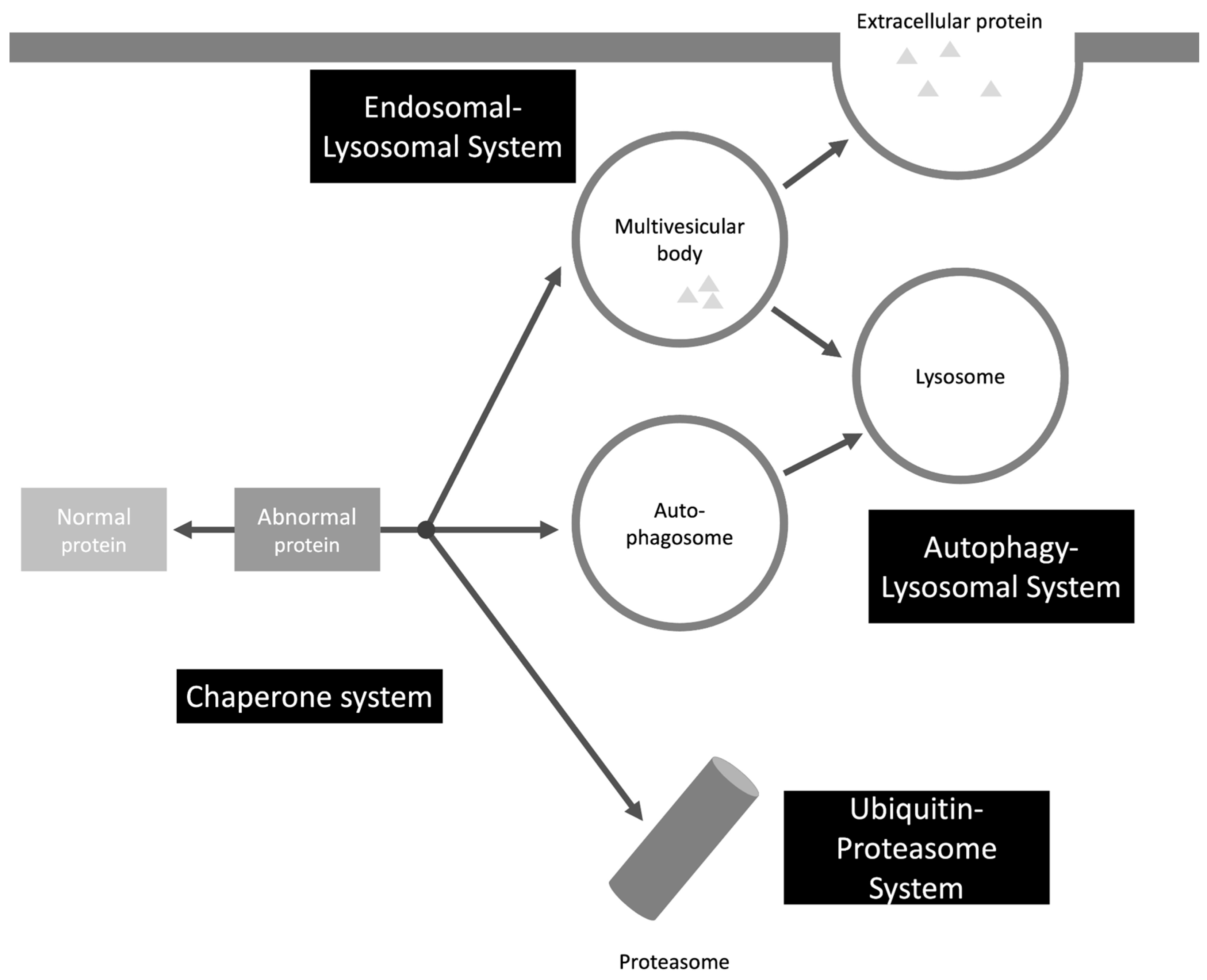 Preprints 188411 g002