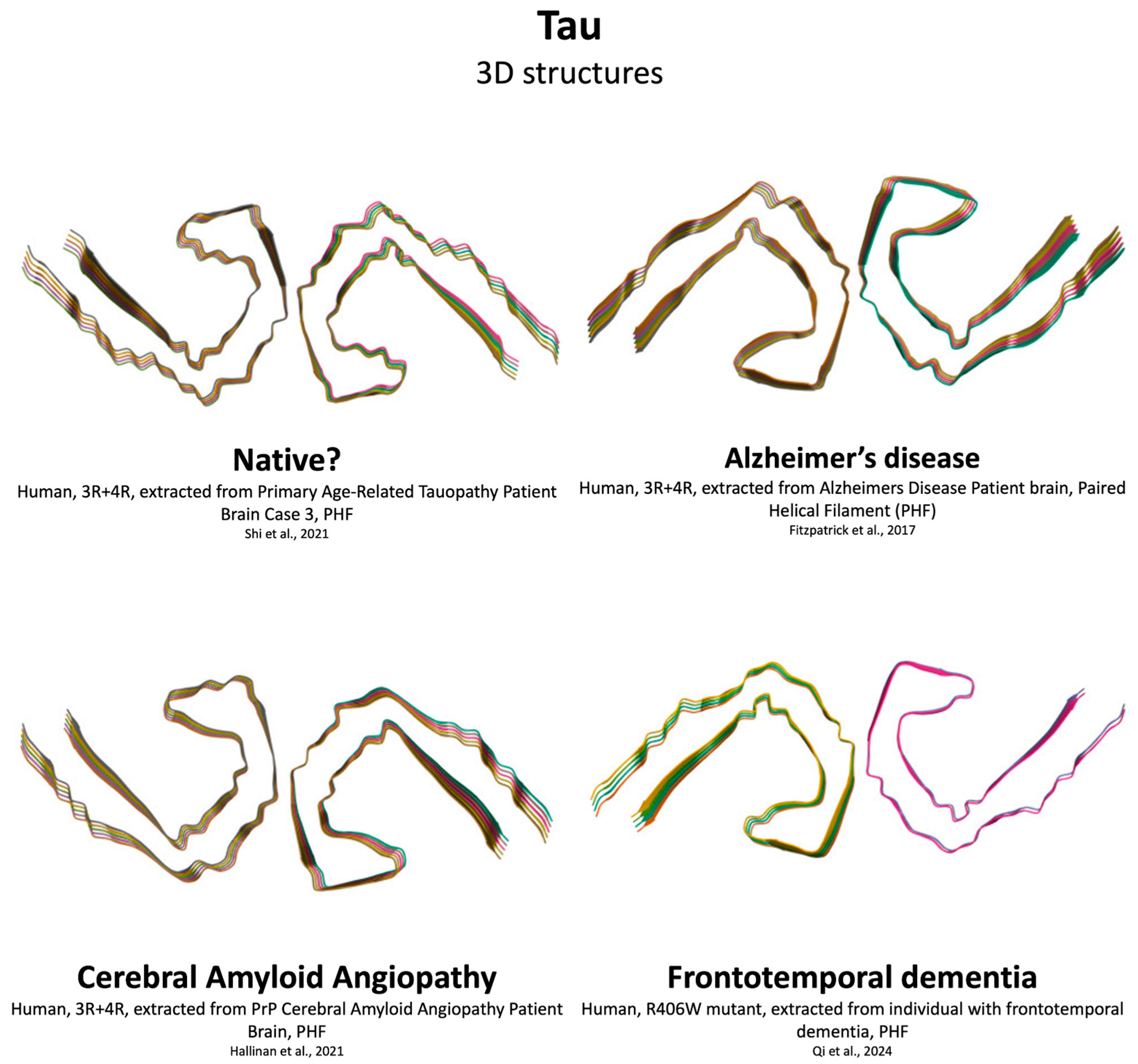Preprints 188411 g006