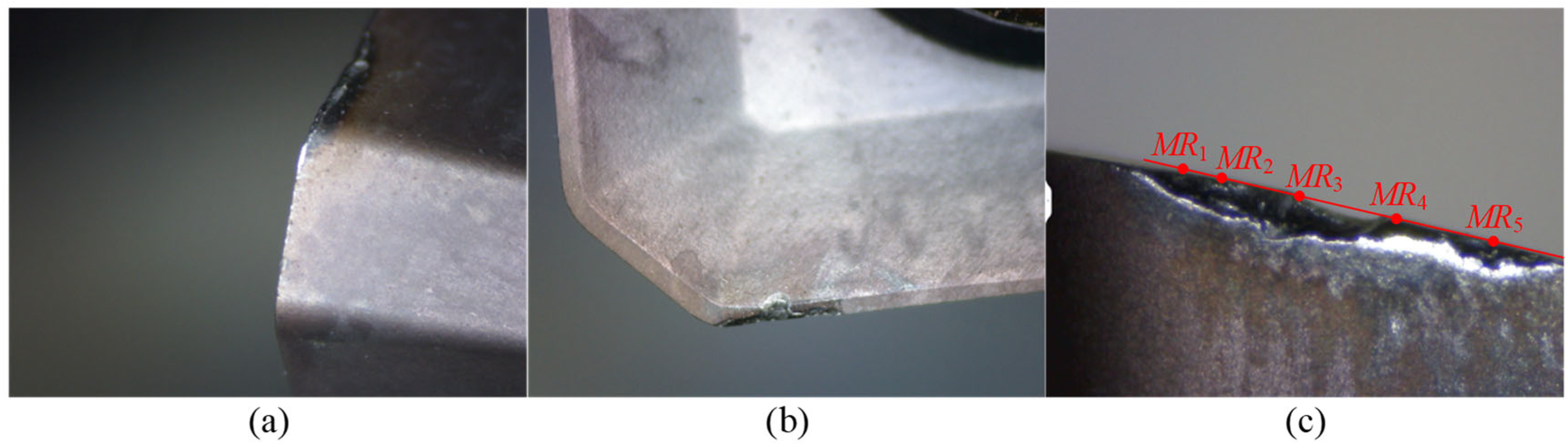 Preprints 177535 g020