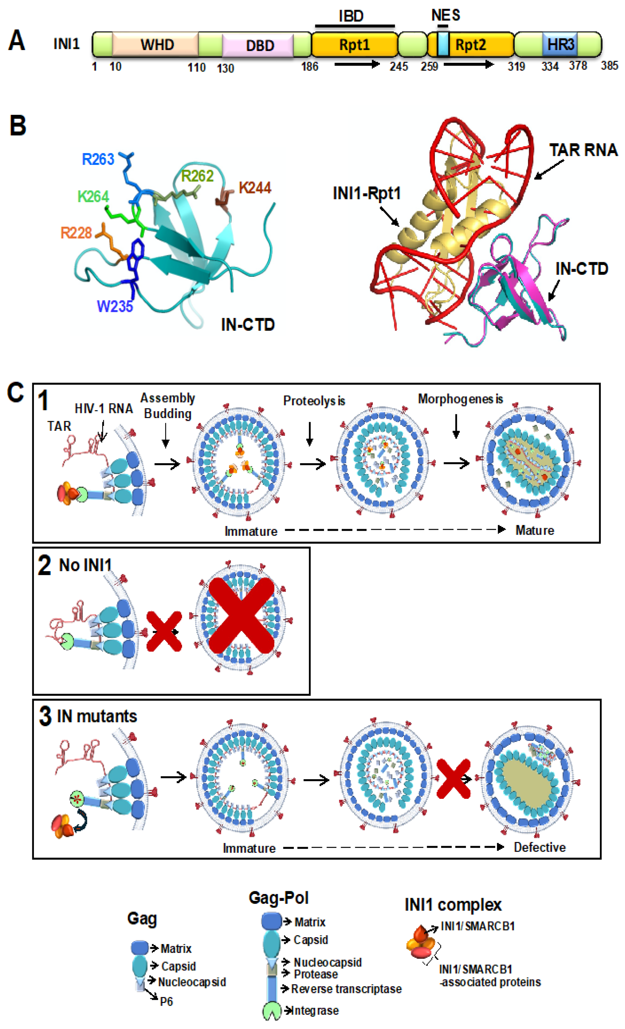 Preprints 152201 g001
