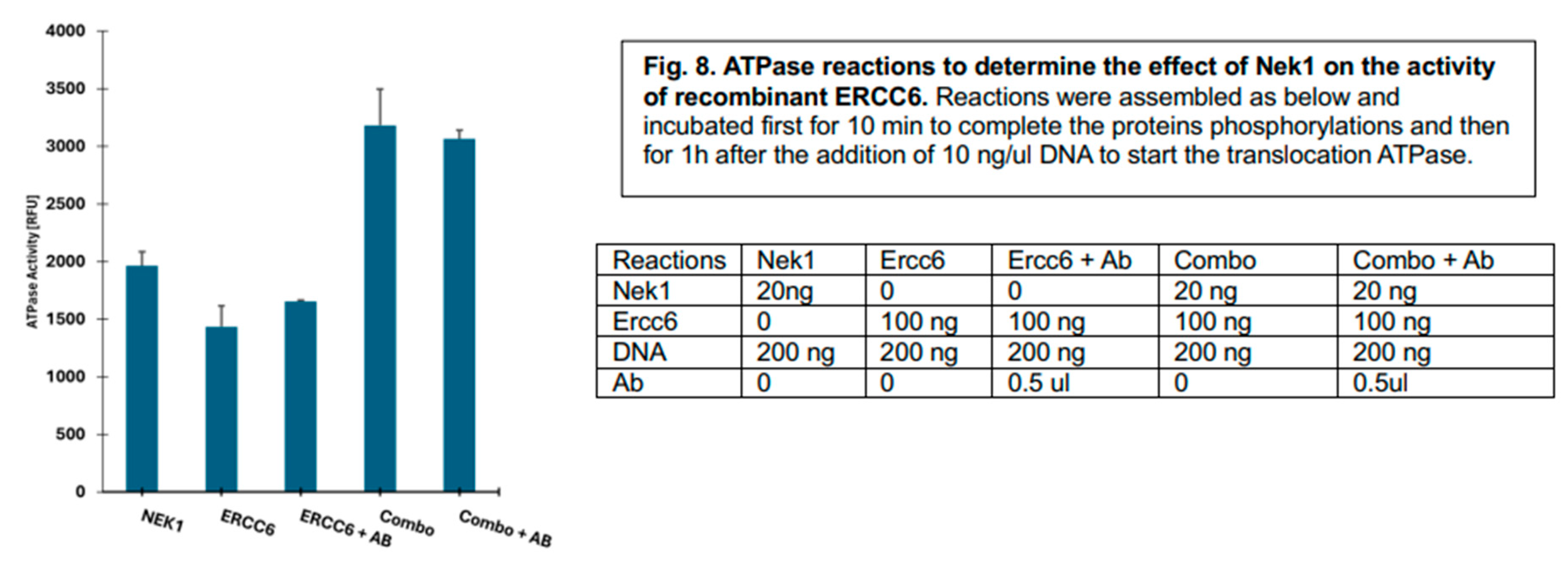 Preprints 190775 g008
