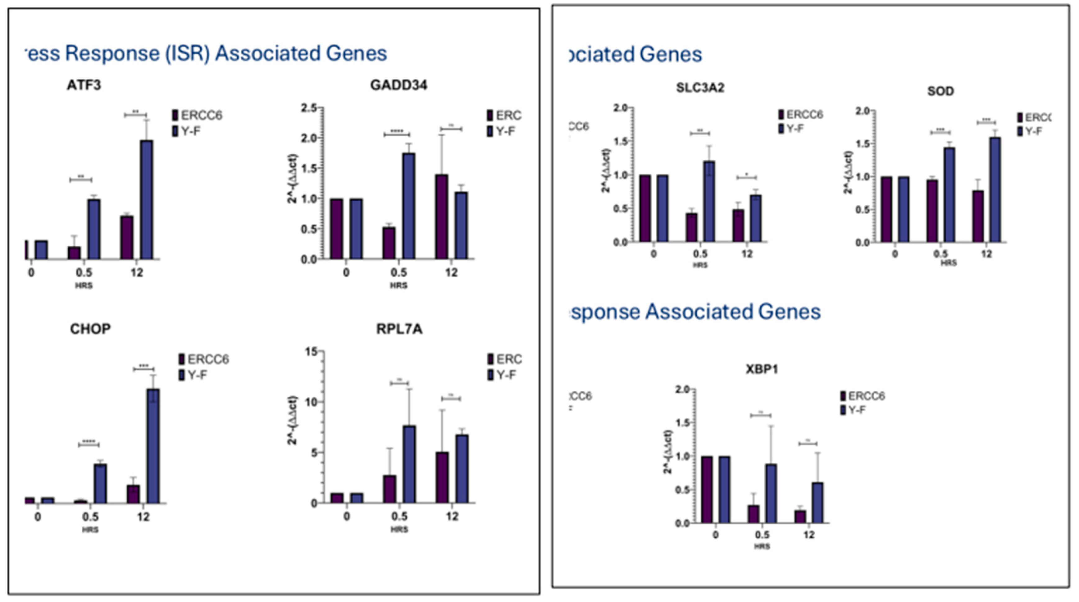 Preprints 190775 g016a
