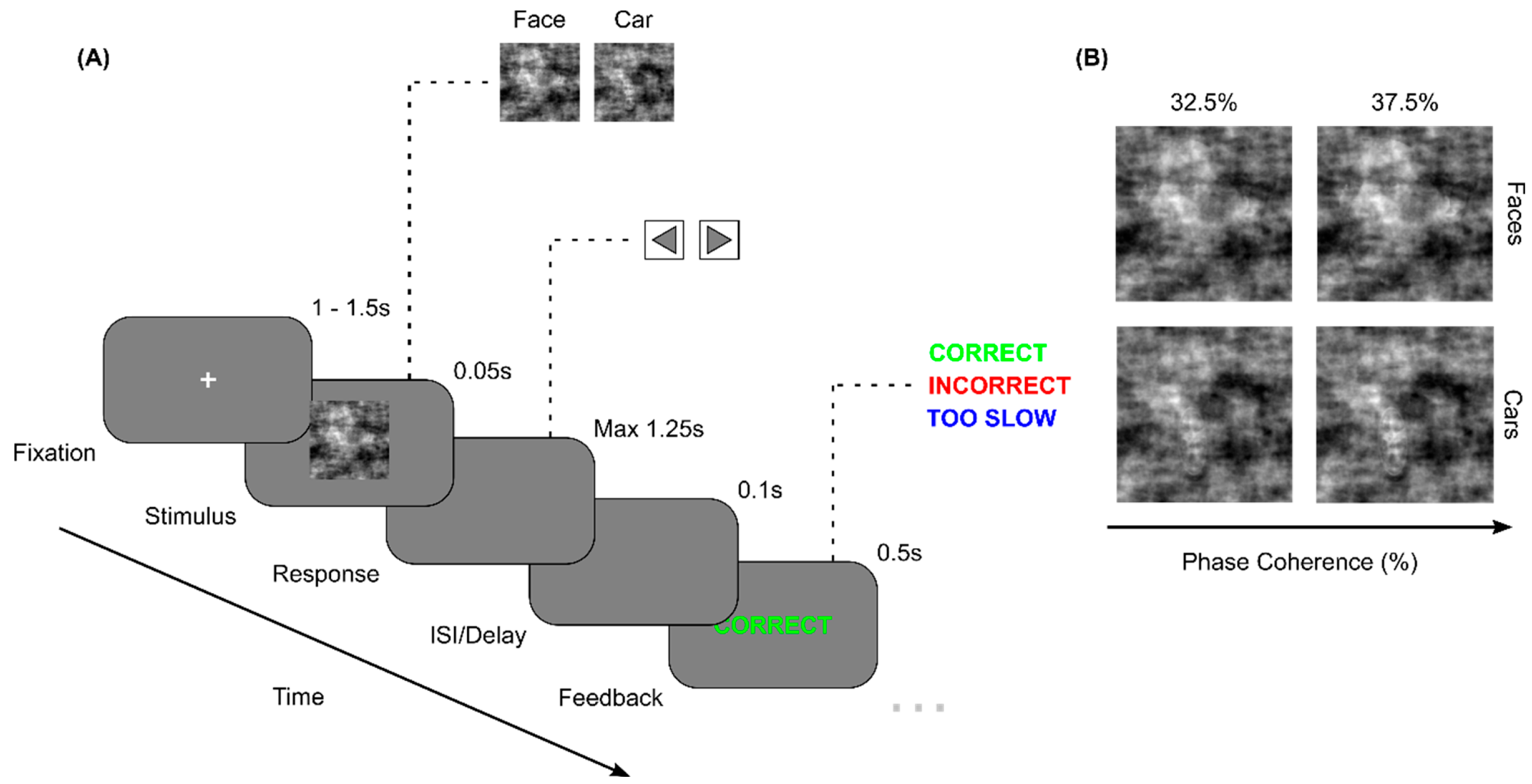 Preprints 150197 g001