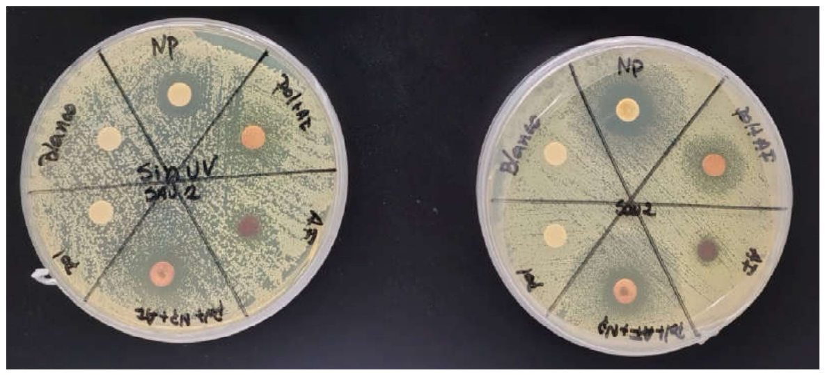 Preprints 231194 g012 Preprints 231194 g012