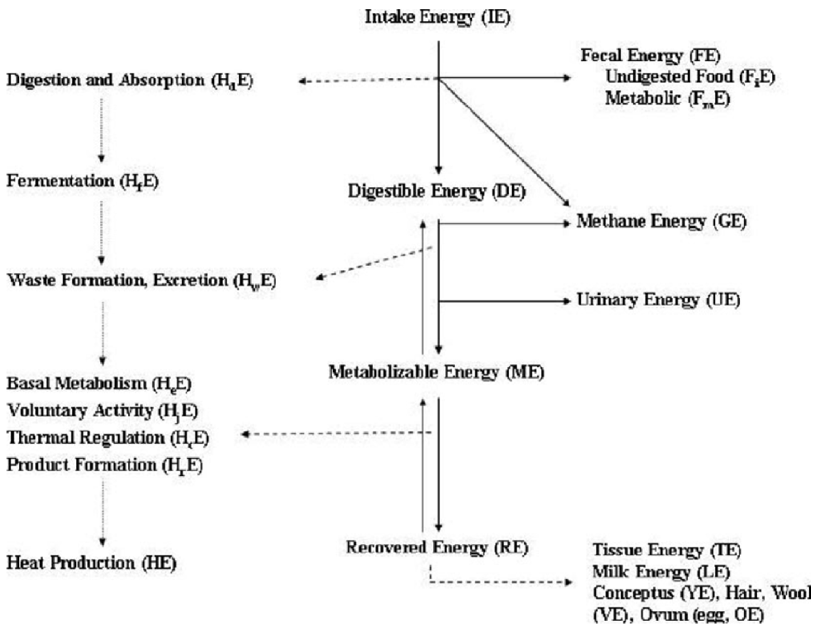 Preprints 107704 g001
