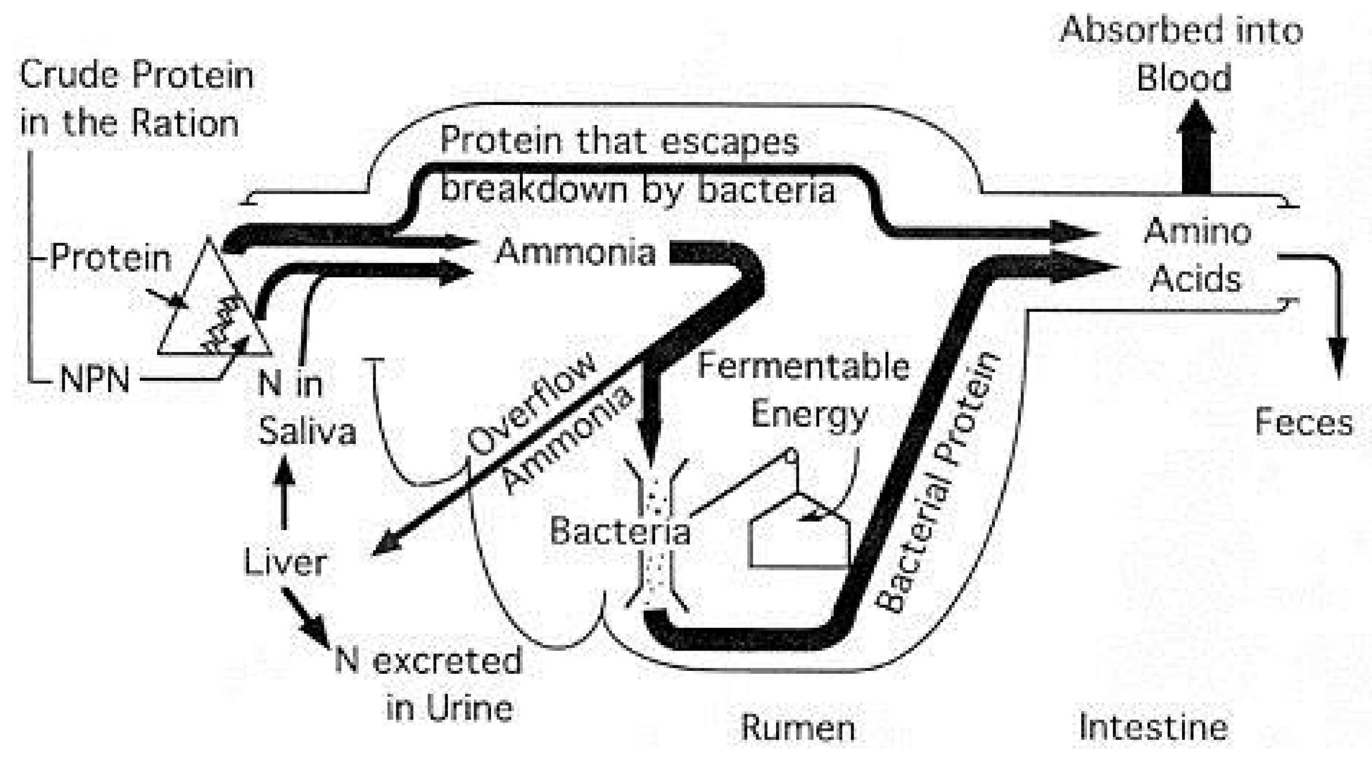 Preprints 107704 g002