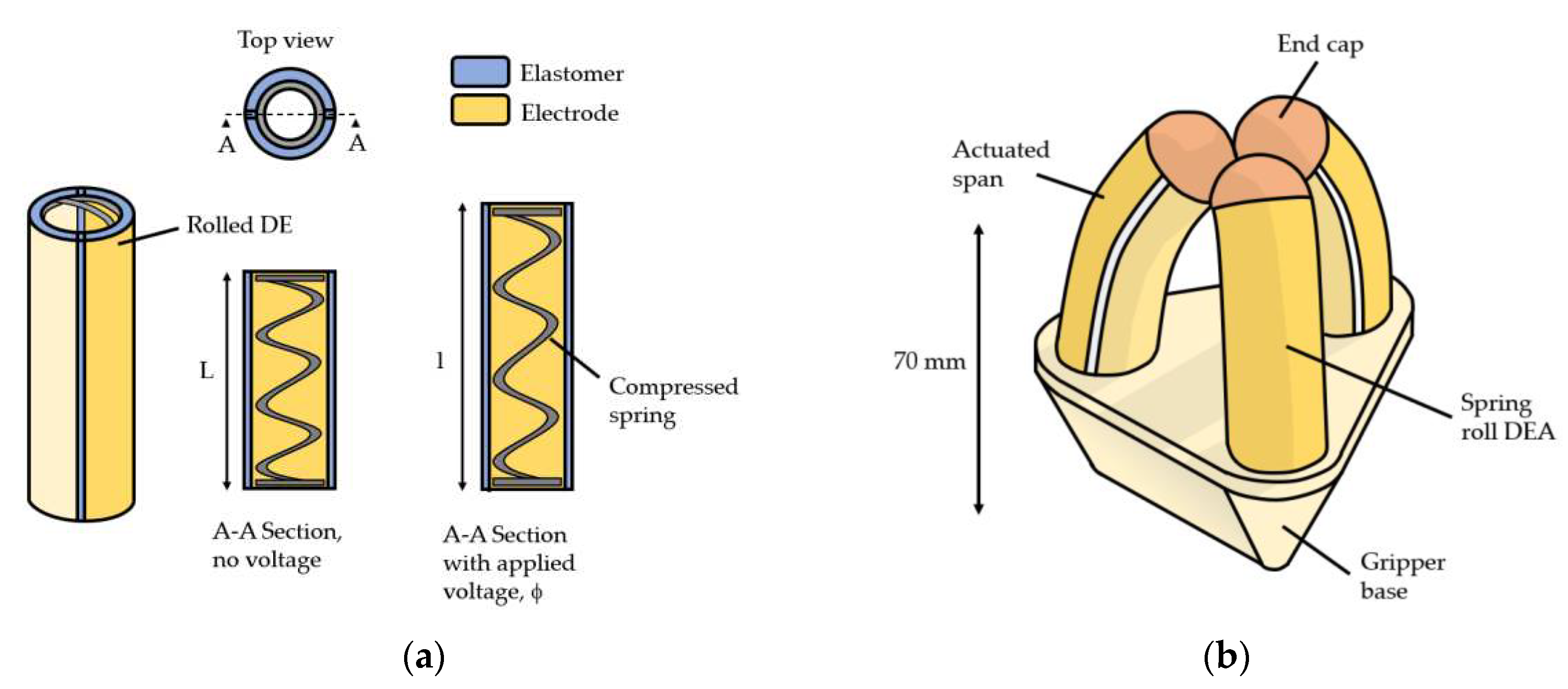 Preprints 86455 g002