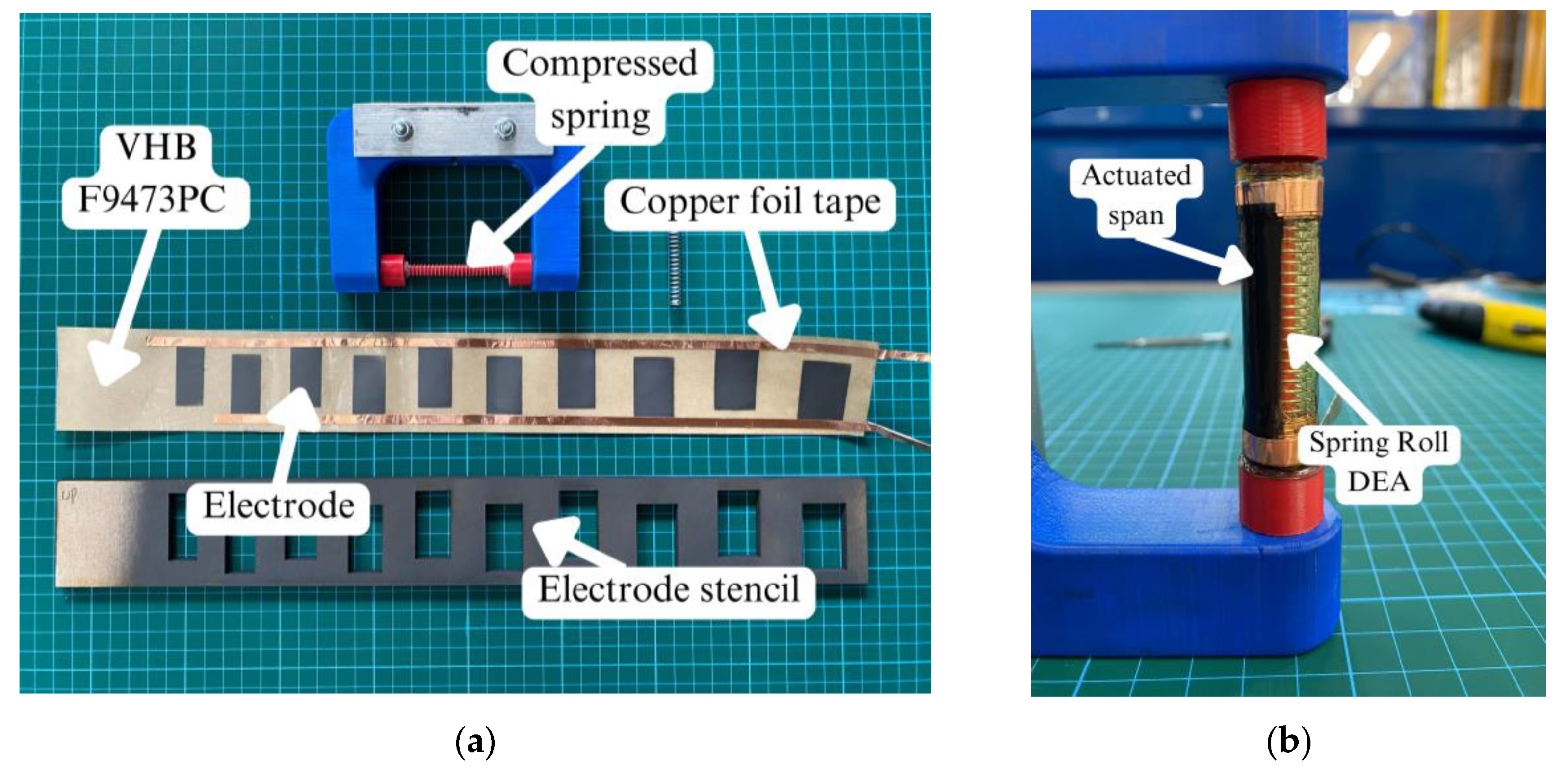 Preprints 86455 g007