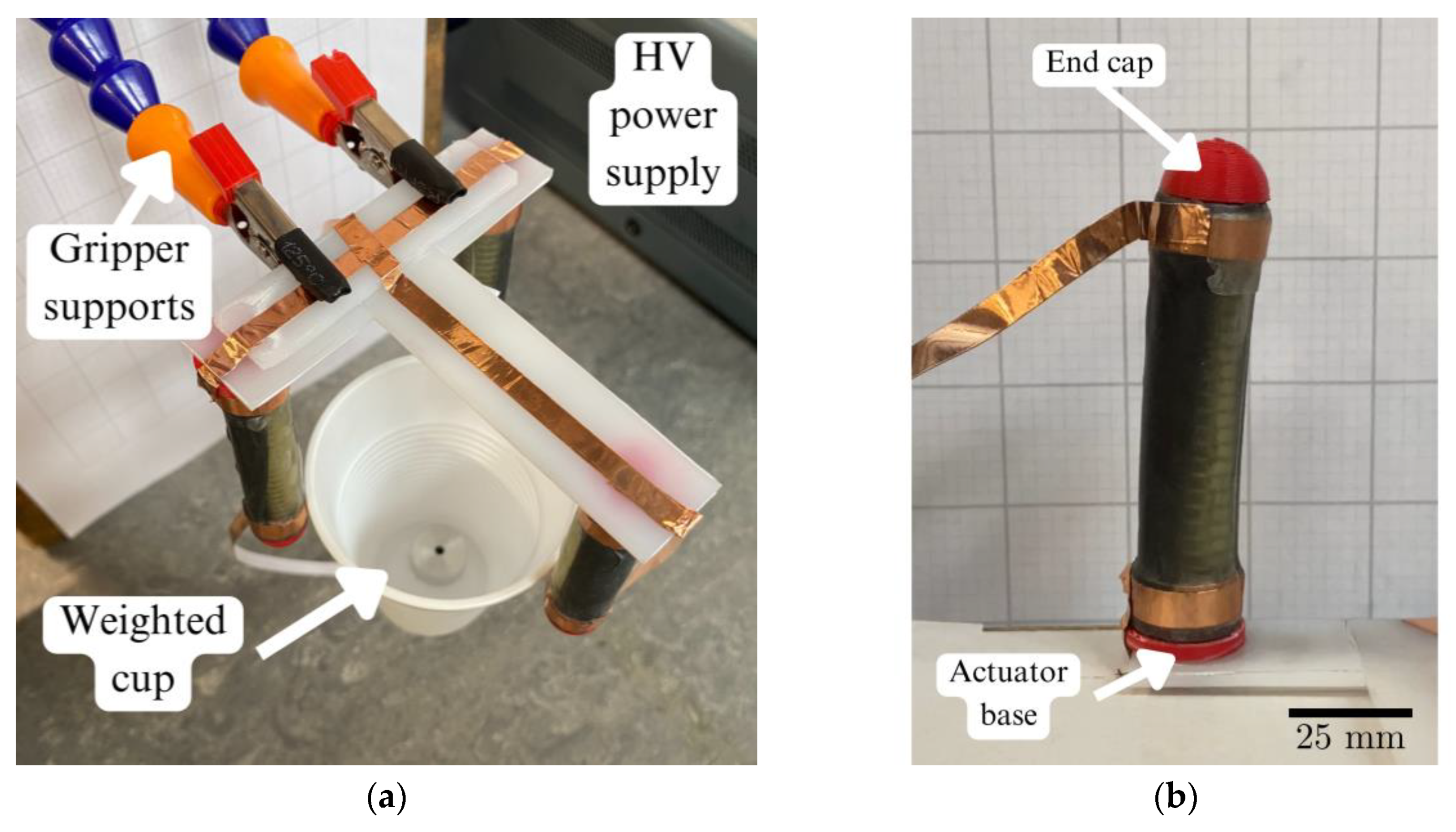 Preprints 86455 g008