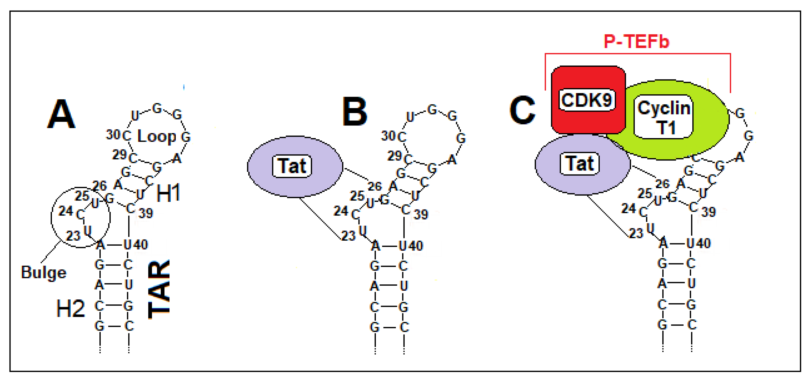 Preprints 202133 g001