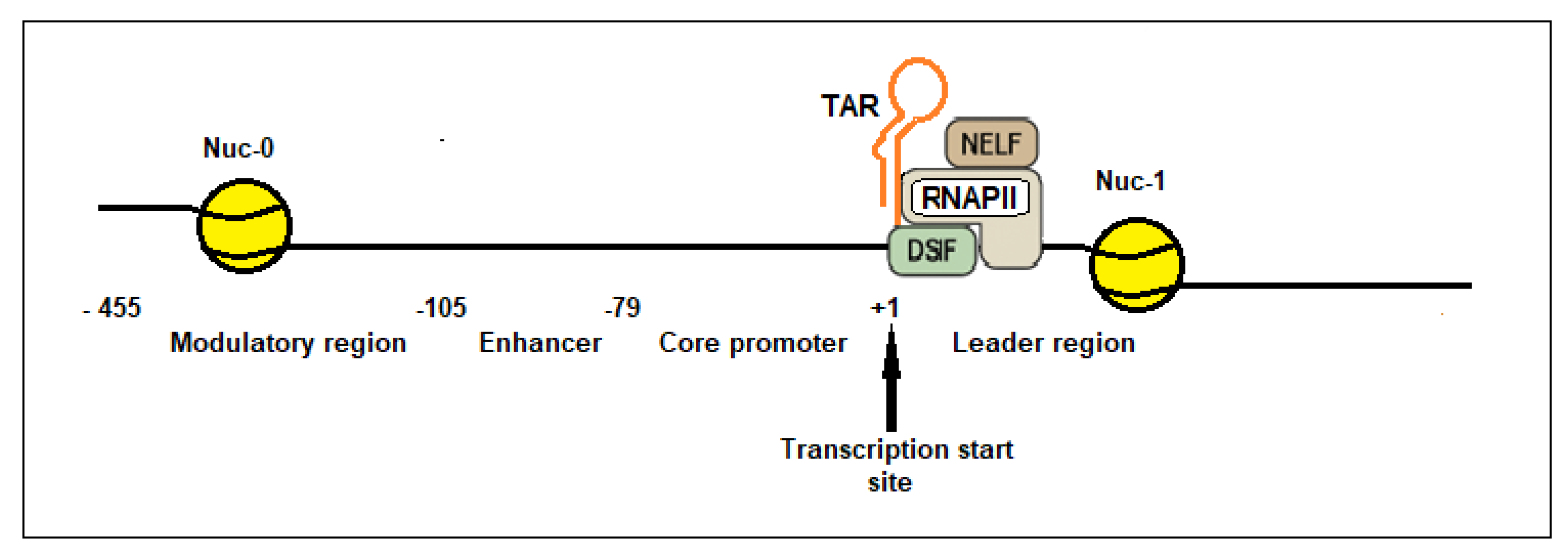 Preprints 202133 g002