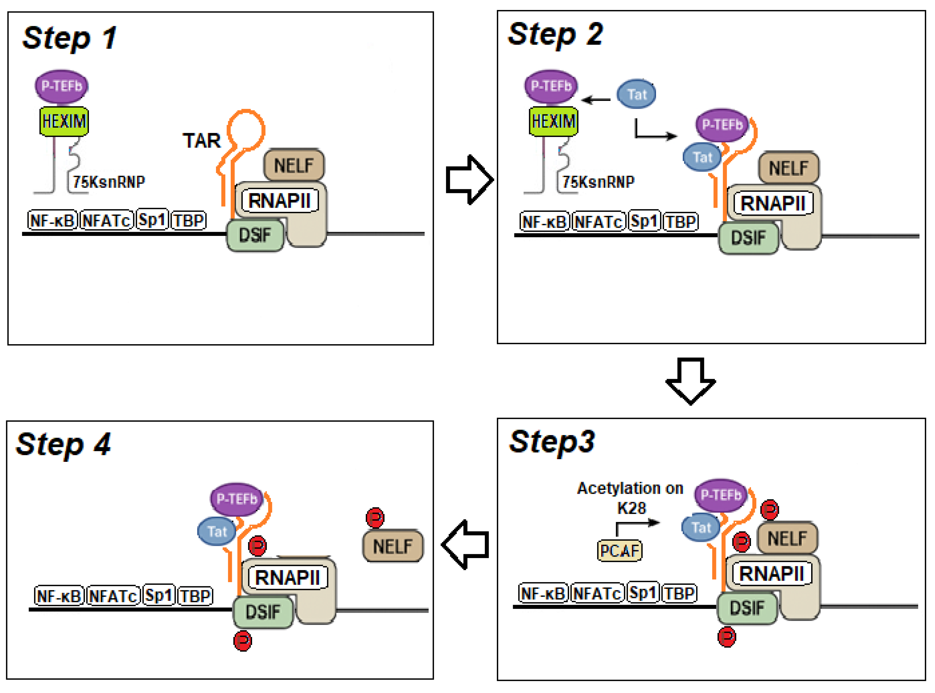 Preprints 202133 g003