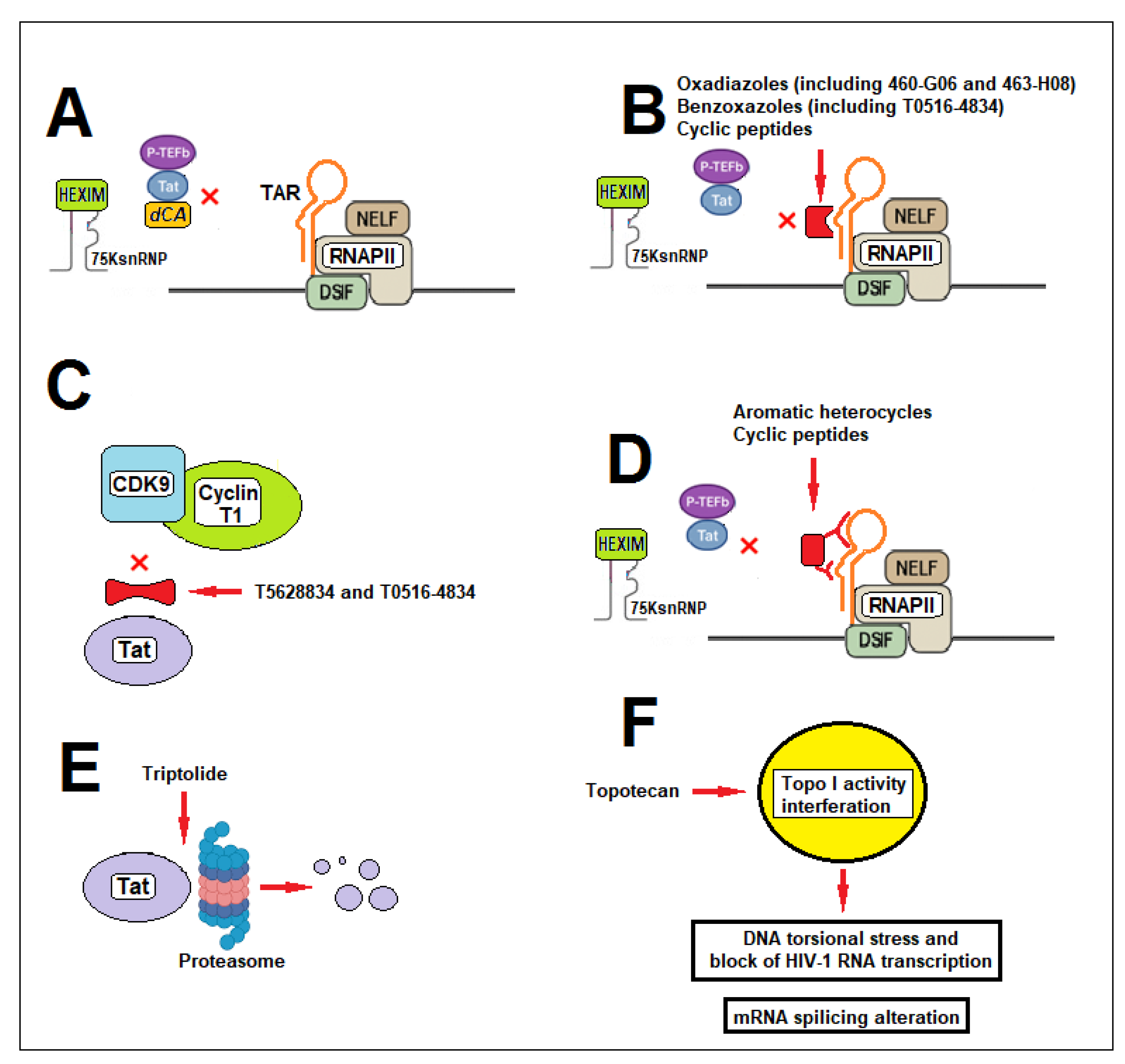 Preprints 202133 g004
