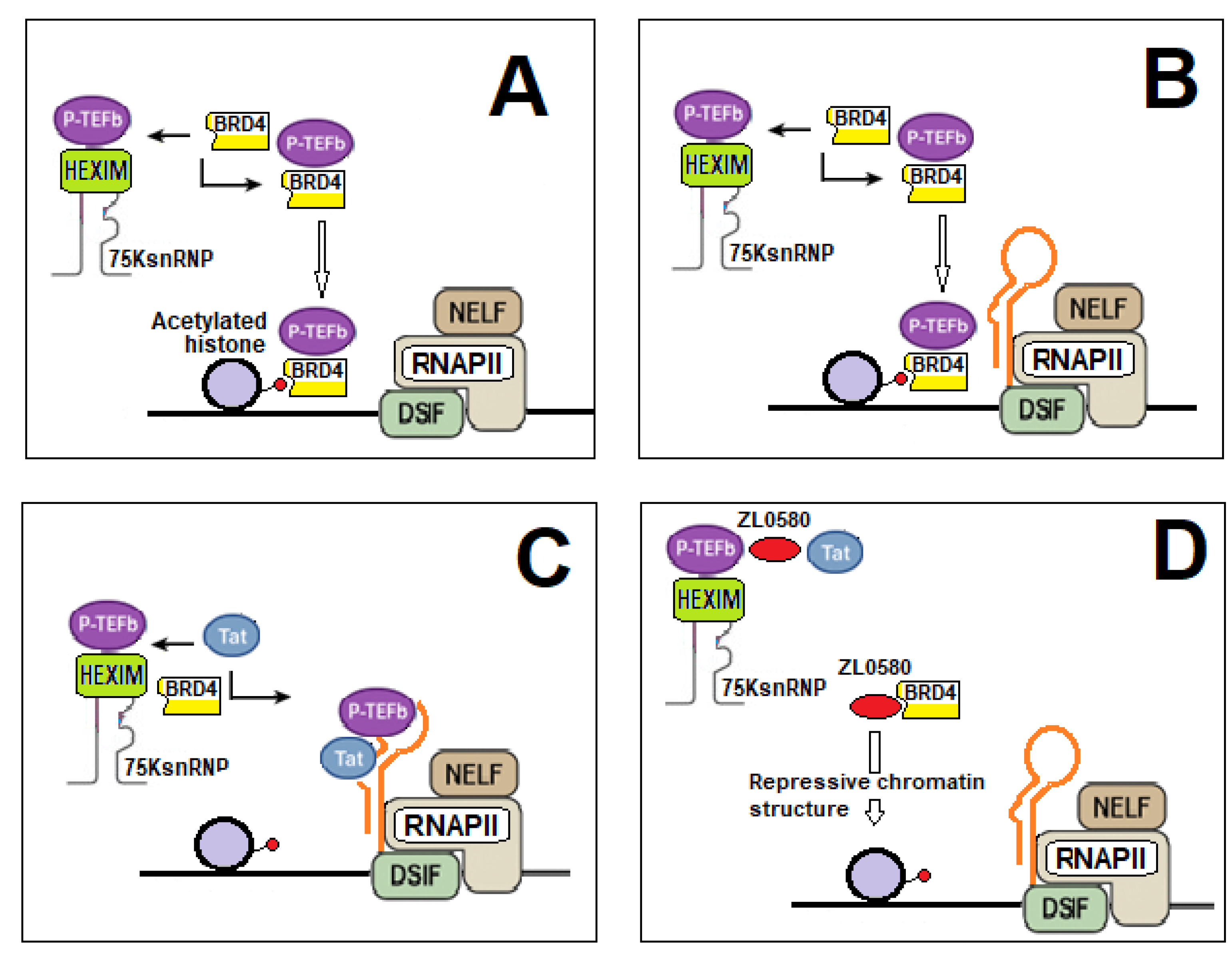 Preprints 202133 g005