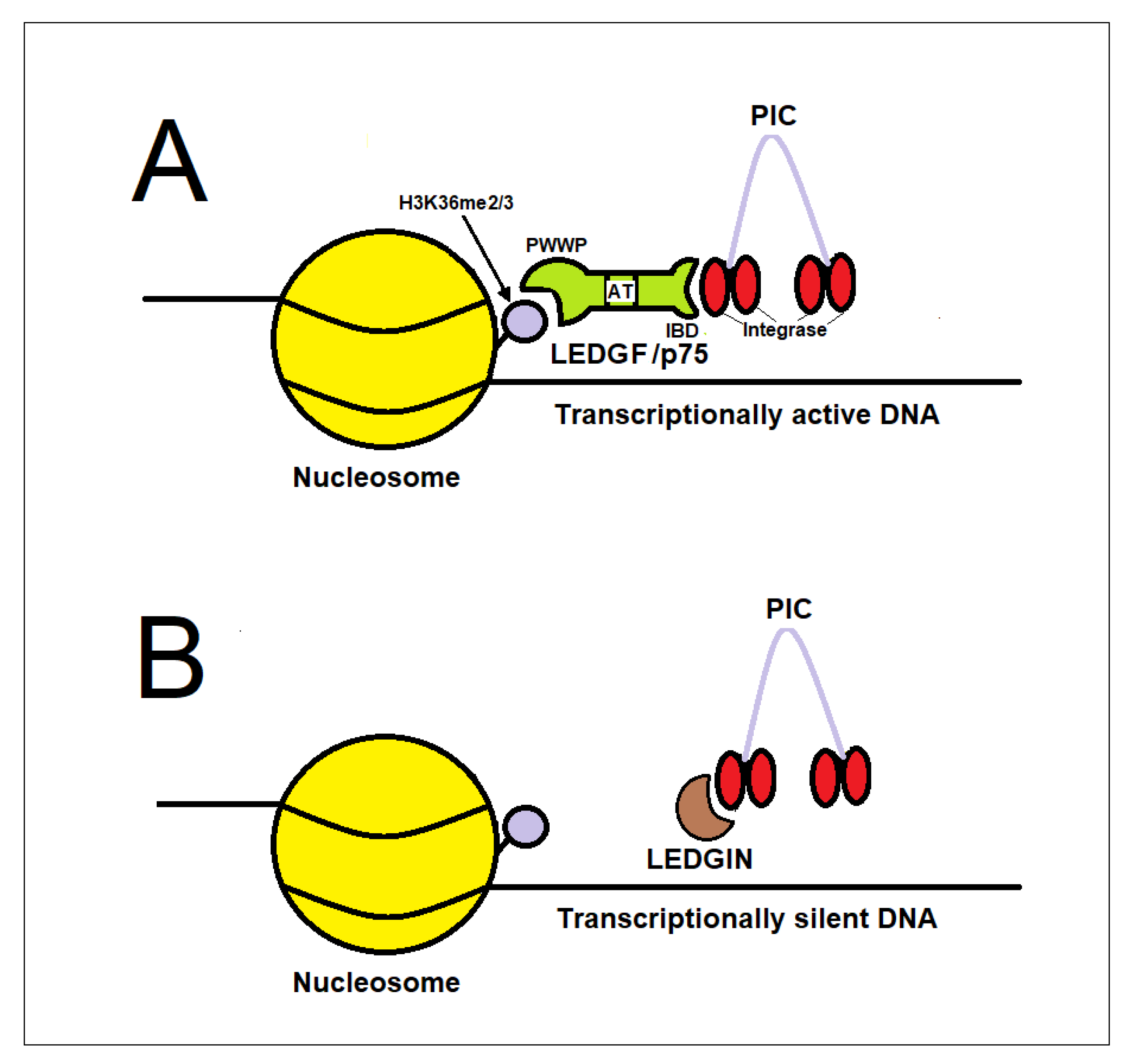 Preprints 202133 g006