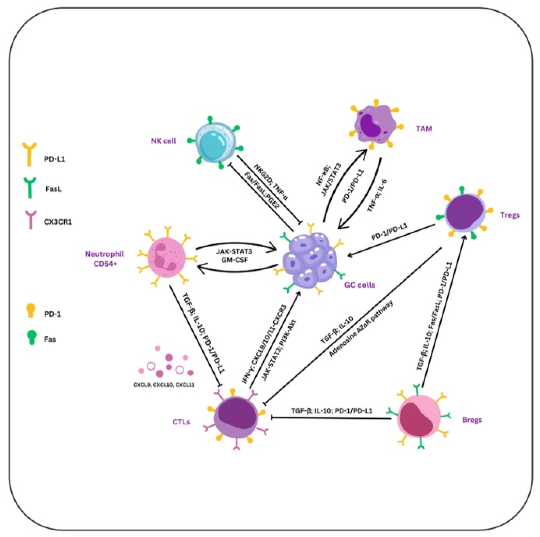 Preprints 145479 g001