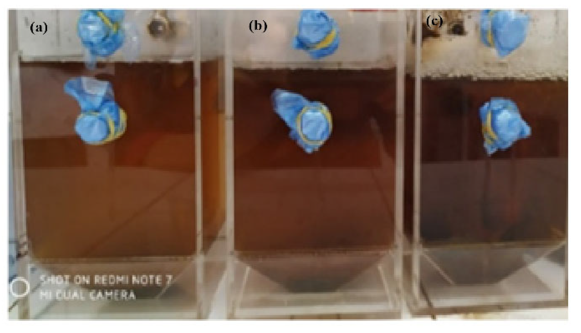 Preprints 189046 g001