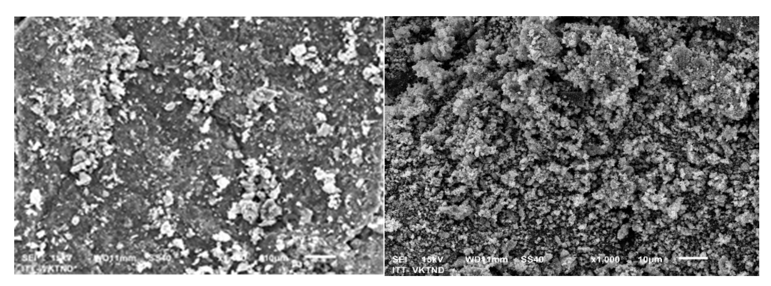 Preprints 189046 g003